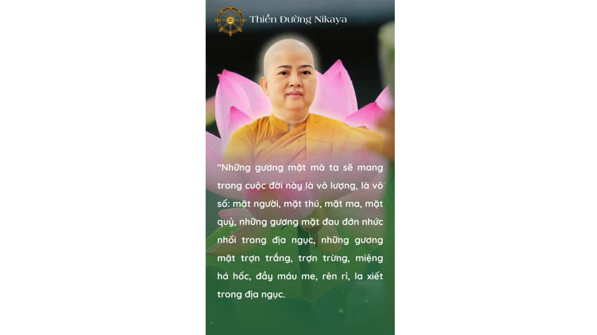 SAU GƯƠNG MẶT NÀY LÀ BAO NHIÊU ĐAU ĐỚN _ CHƠN TÍN TOÀN