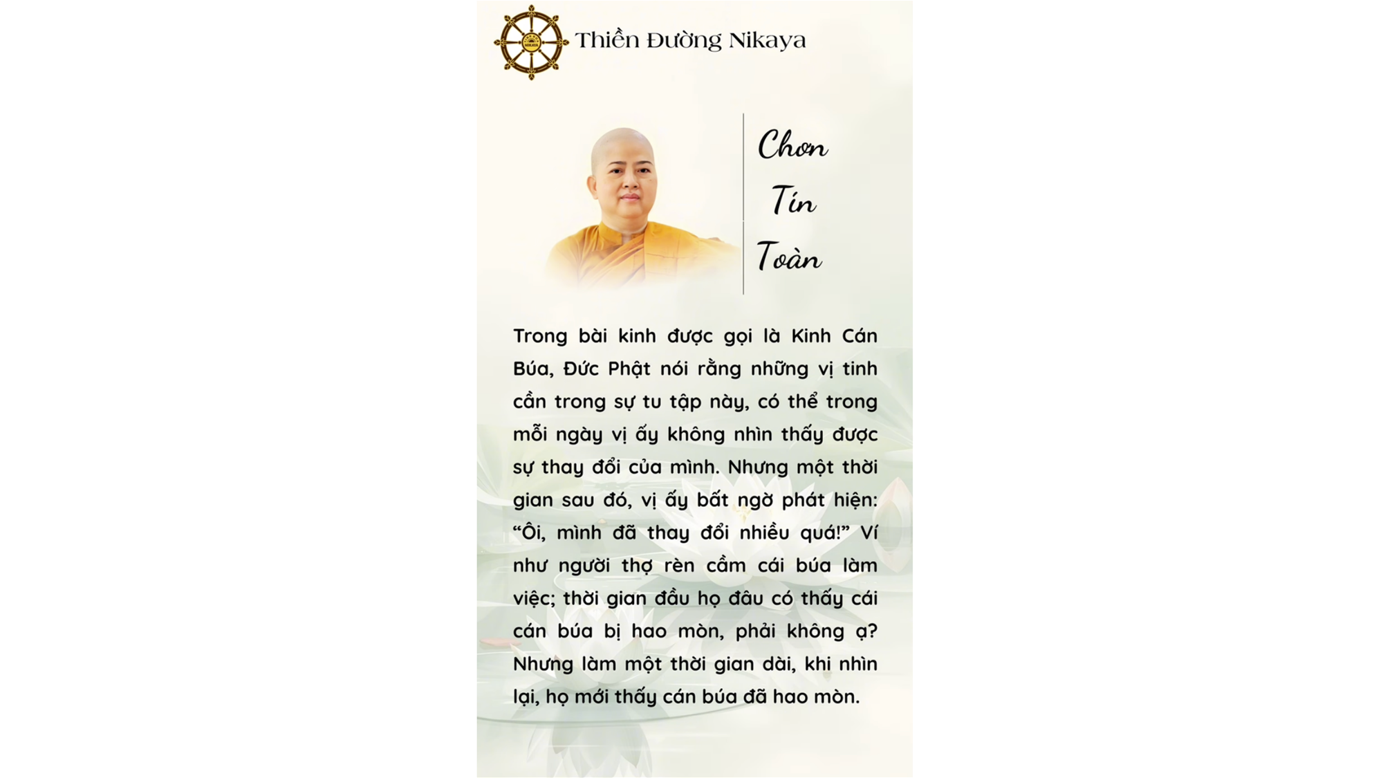 CHỈ CẦN ĐI ĐÚNG ĐƯỜNG, THÁNH QUẢ SẼ HIỂN LỘ _ CHƠN TÍN TOÀN