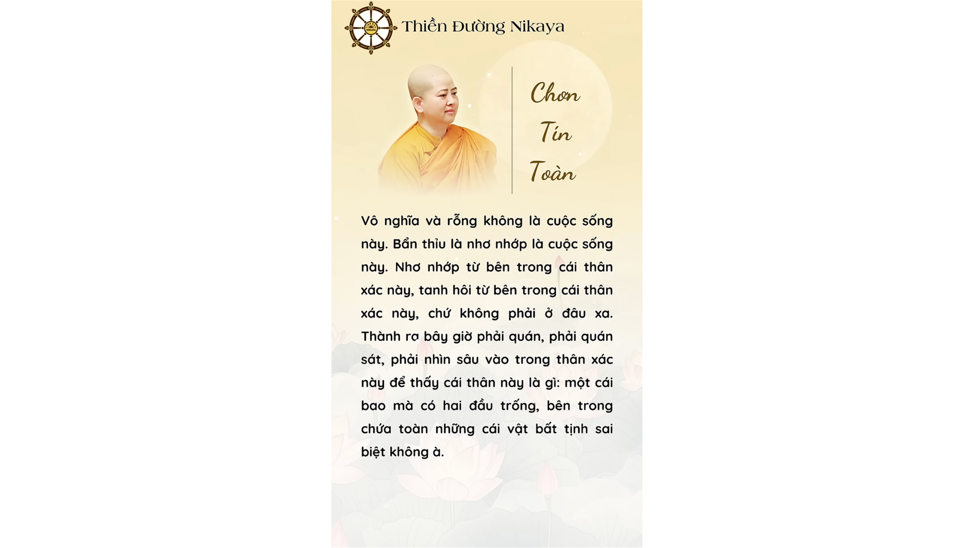 HỠI TÂM SI ÁM, NGƯƠI THAM ÁI CÁI GÌ? _ CHƠN TÍN TOÀN