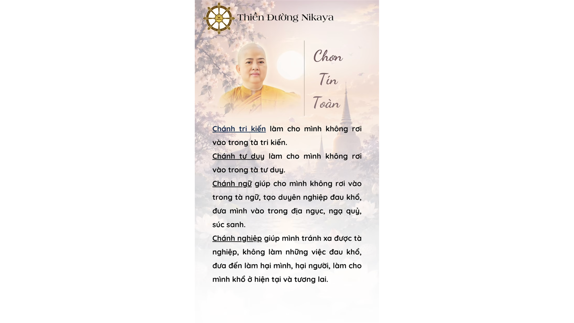 BÁT CHÁNH ĐẠO VI DIỆU NHƯ THẾ NÀO? _ CHƠN TÍN TOÀN