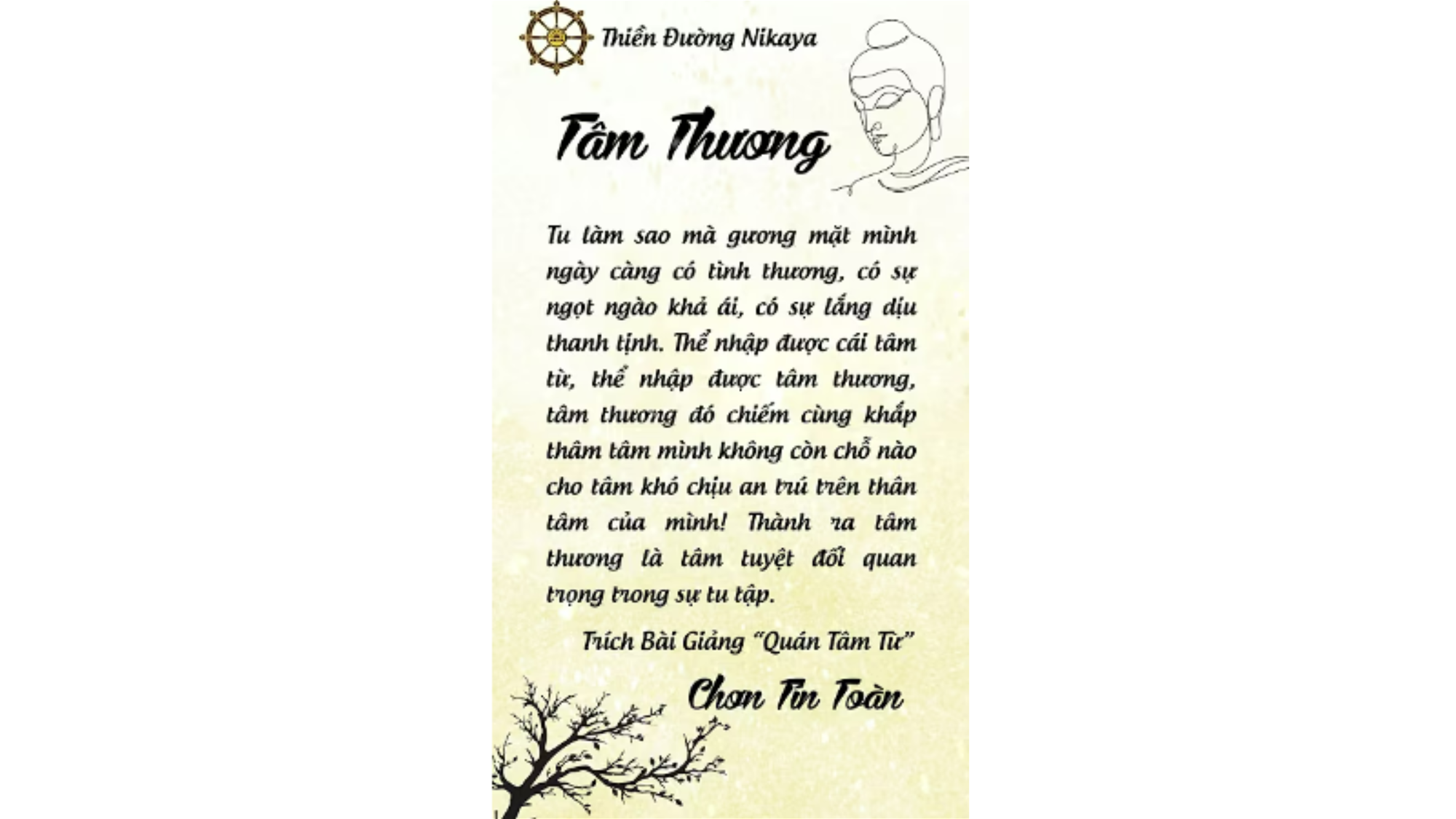 TÂM THƯƠNG LUÔN TRONG TA _ CHƠN TÍN TOÀN