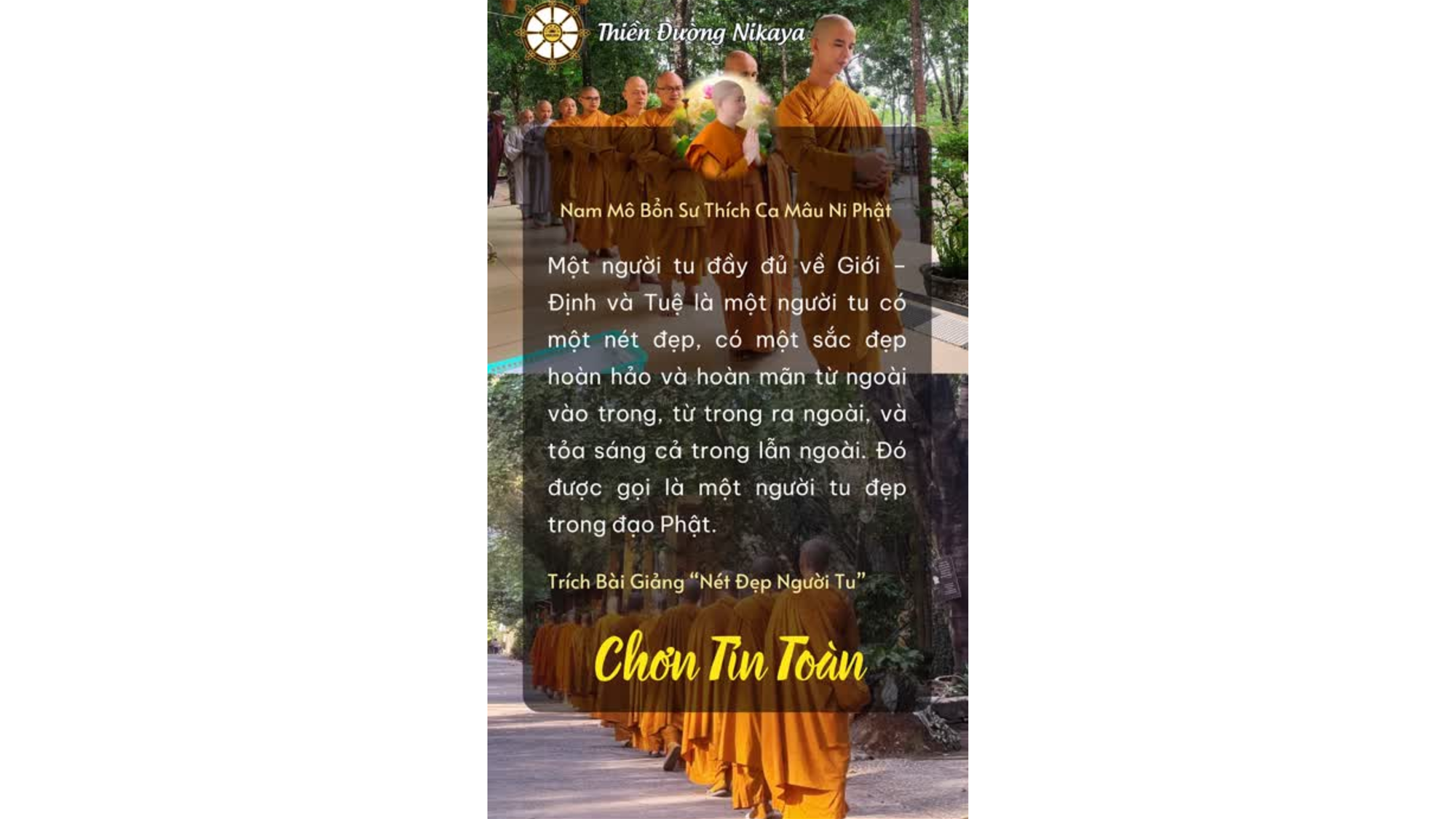 VẺ ĐẸP CHÂN THẬT CỦA NGƯỜI TU _ CHƠN TÍN TOÀN