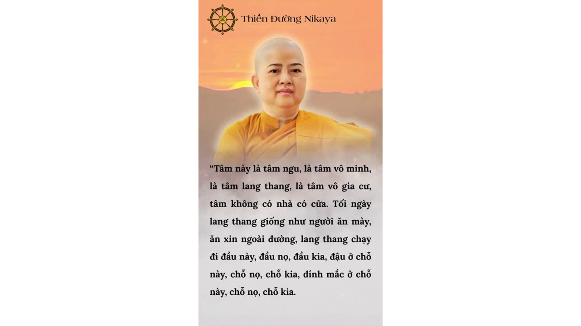 TÂM NÀY LÀ CÔ HỒN LẠC LỐI _ CHƠN TÍN TOÀN