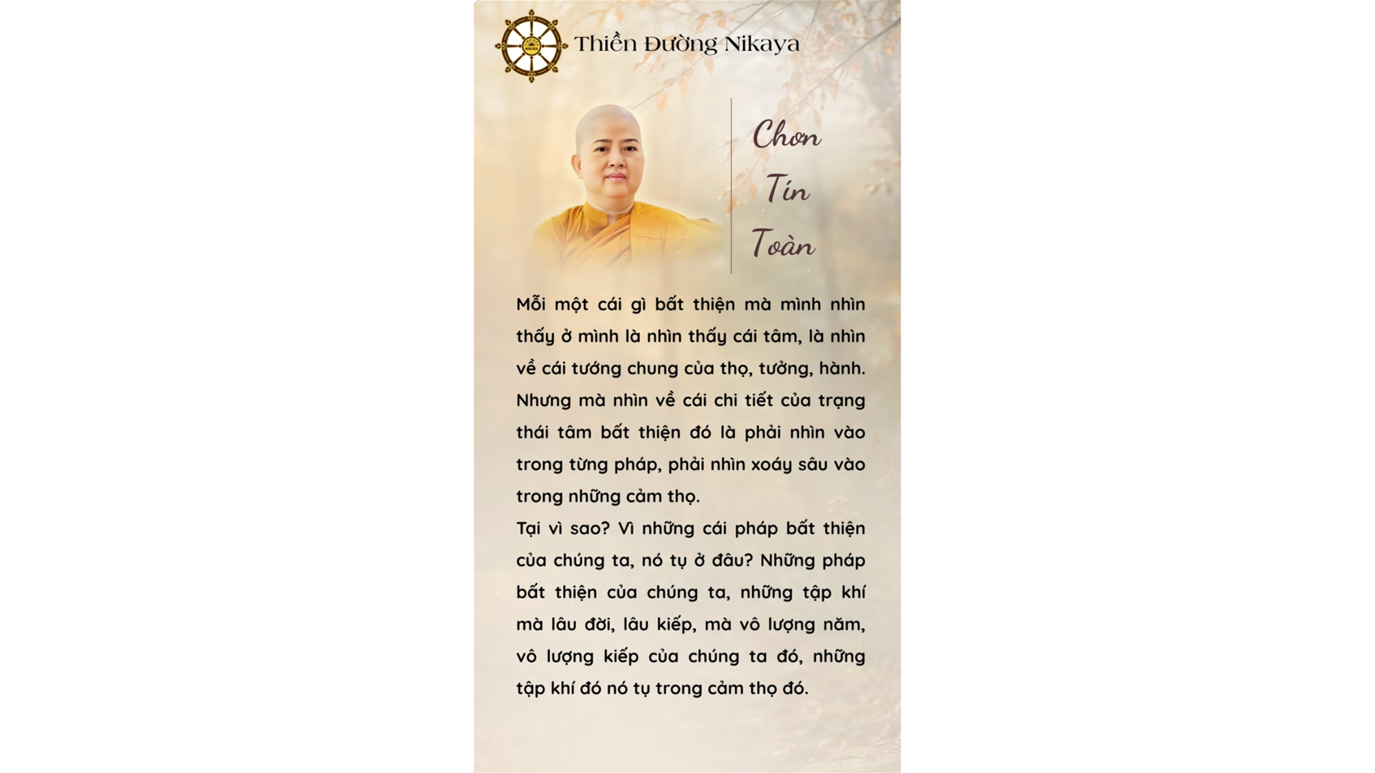 TẬP KHÍ NÀY PHẢI ĐƯỢC NHÌN THẤY THẬT RÕ! _ CHƠN TÍN TOÀN