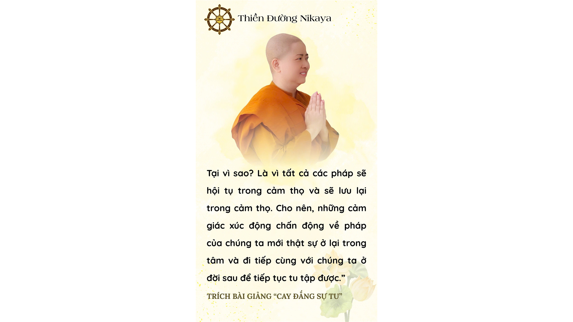 HỌC PHÁP BẰNG CẢ TRÁI TIM _ CHƠN TÍN TOÀN