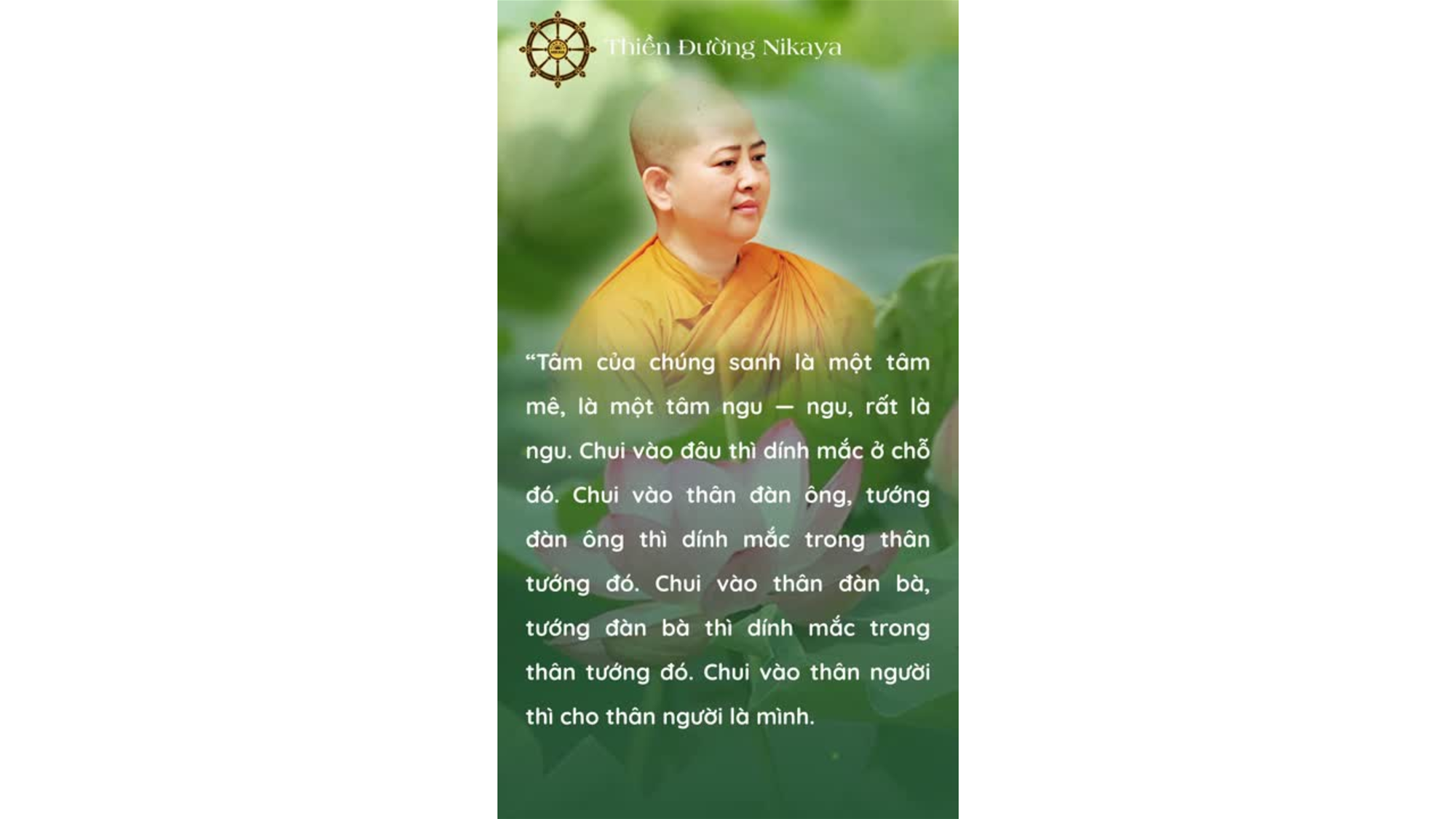 CÁI NGU LỚN NHẤT: NHẬN THÂN NÀY LÀ MÌNH! _ CHƠN TÍN TOÀN