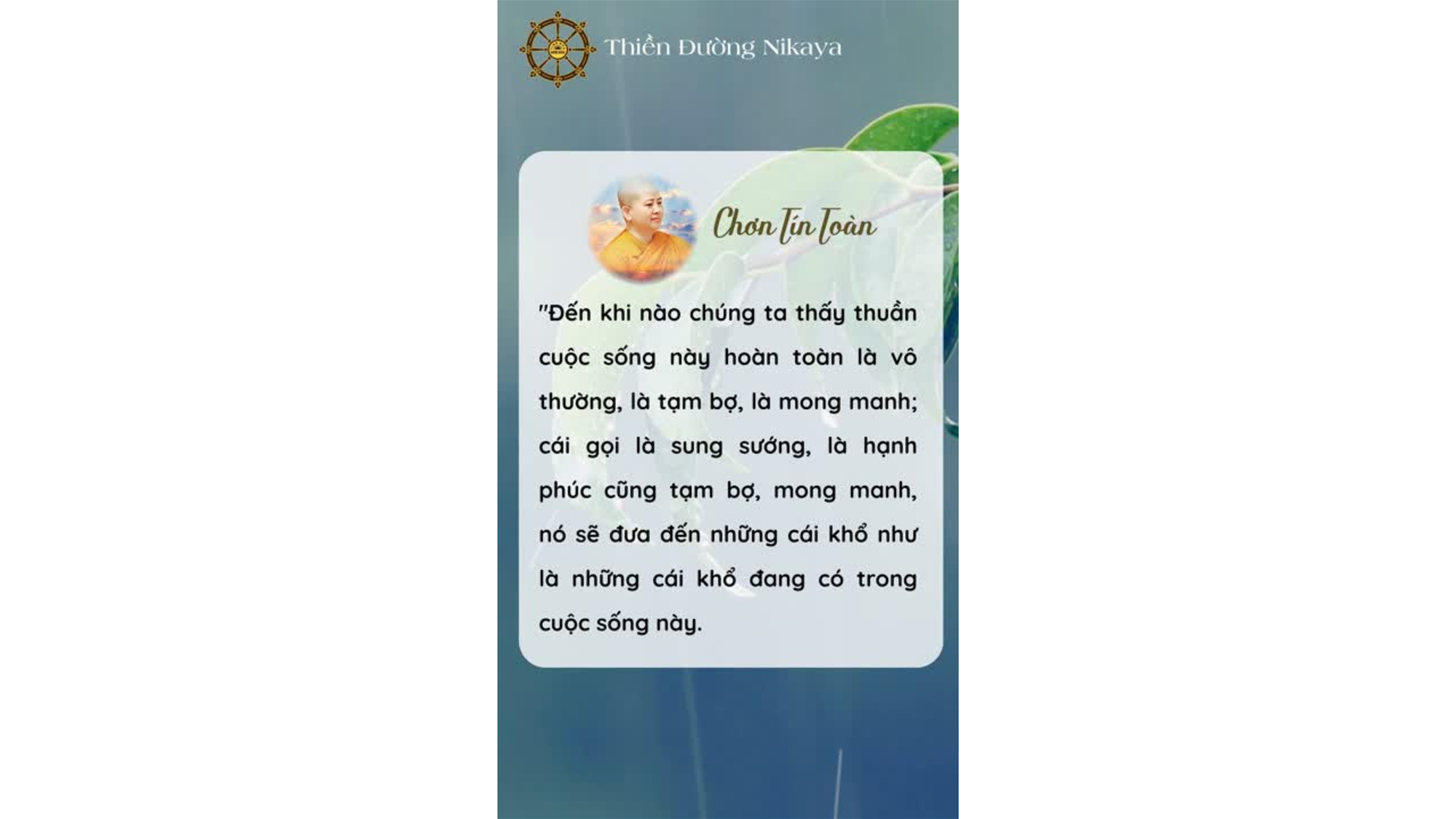 NHẬN RA VÔ THƯỜNG, BUÔNG DẦN MỌI CHẤP _ CHƠN TÍN TOÀN