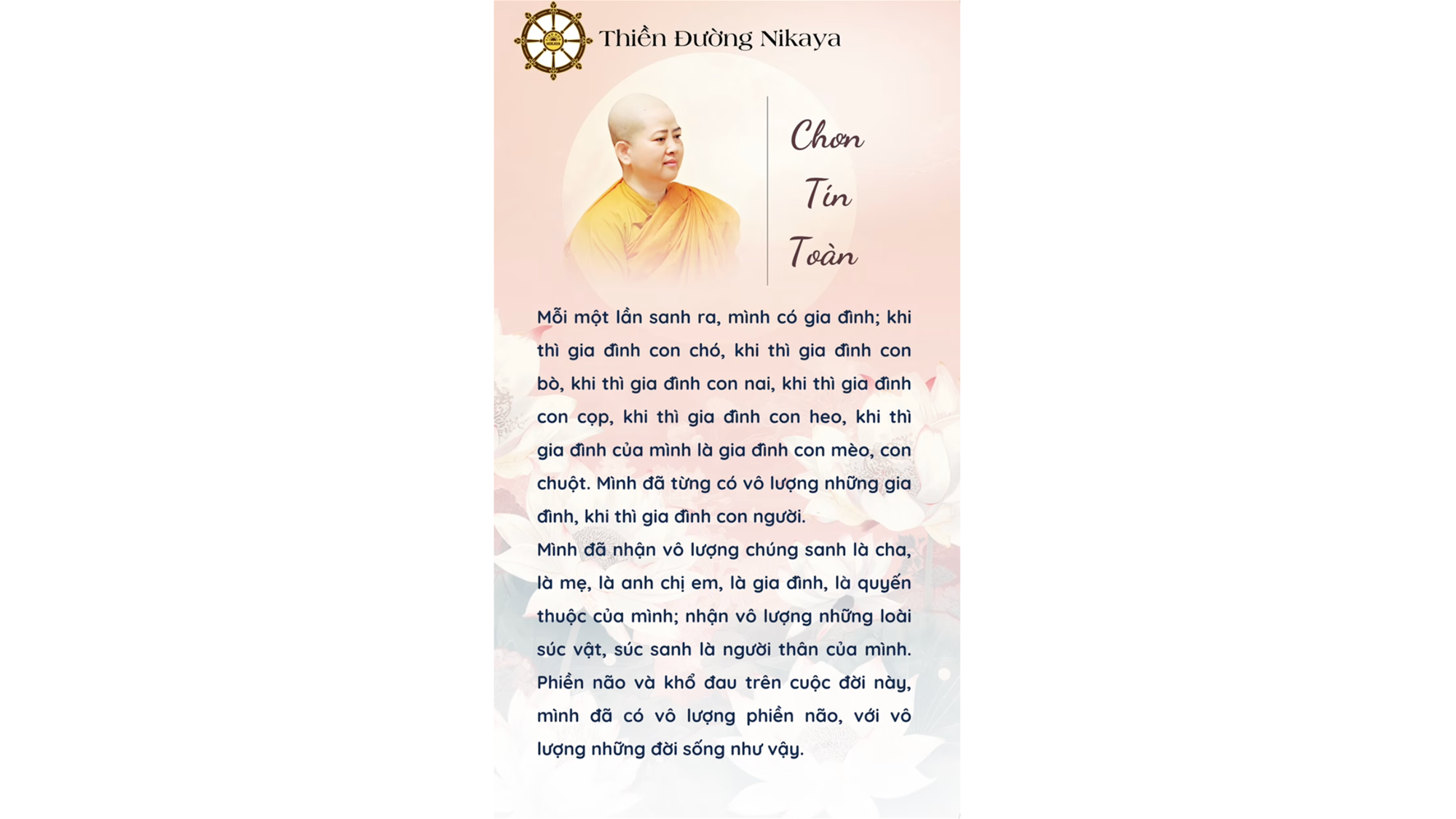 DÒNG SANH TỬ NÀY CHƯA TỪNG HẾT KHỔ ĐAU! _ CHƠN TÍN TOÀN