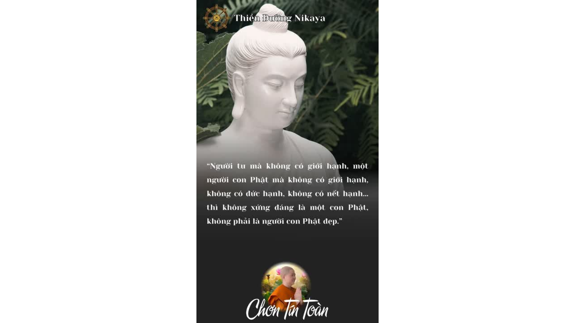 GIỚI HẠNH - NÉT ĐẸP NGƯỜI TU _ CHƠN TÍN TOÀN