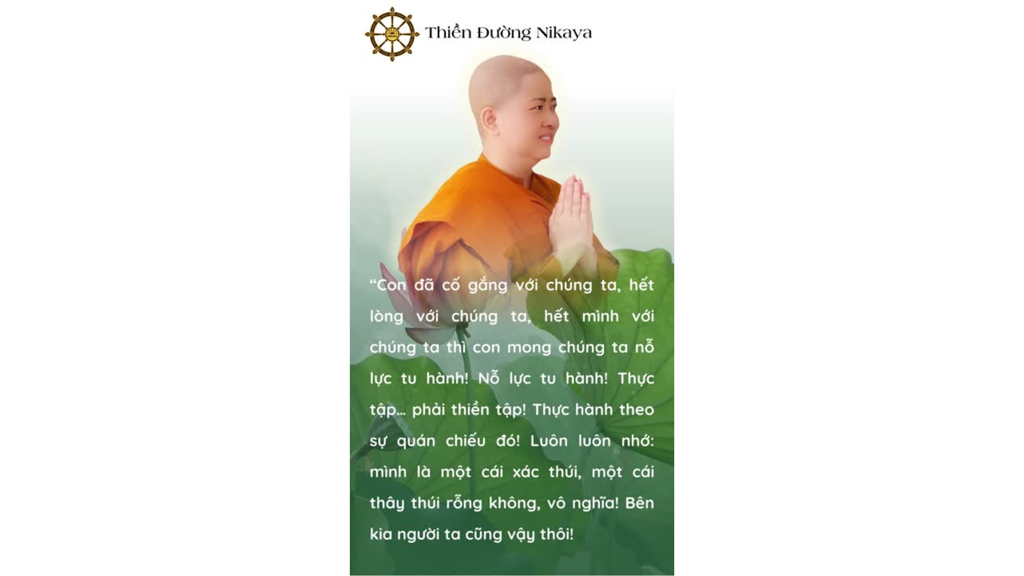 THÂN THỐI NÀY CÓ GÌ ĐỂ GIỮ? _ CHƠN TÍN TOÀN