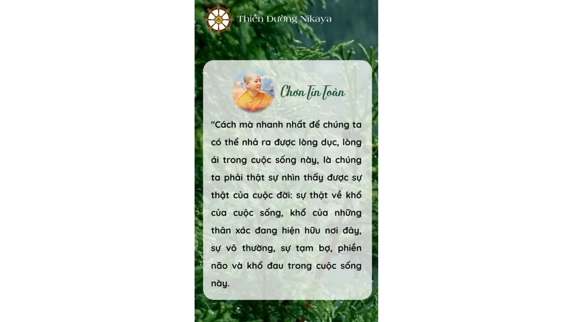 CÁCH NHANH NHẤT ĐỂ  BUÔNG BỎ DỤC ÁI _ CHƠN TÍN TOÀN