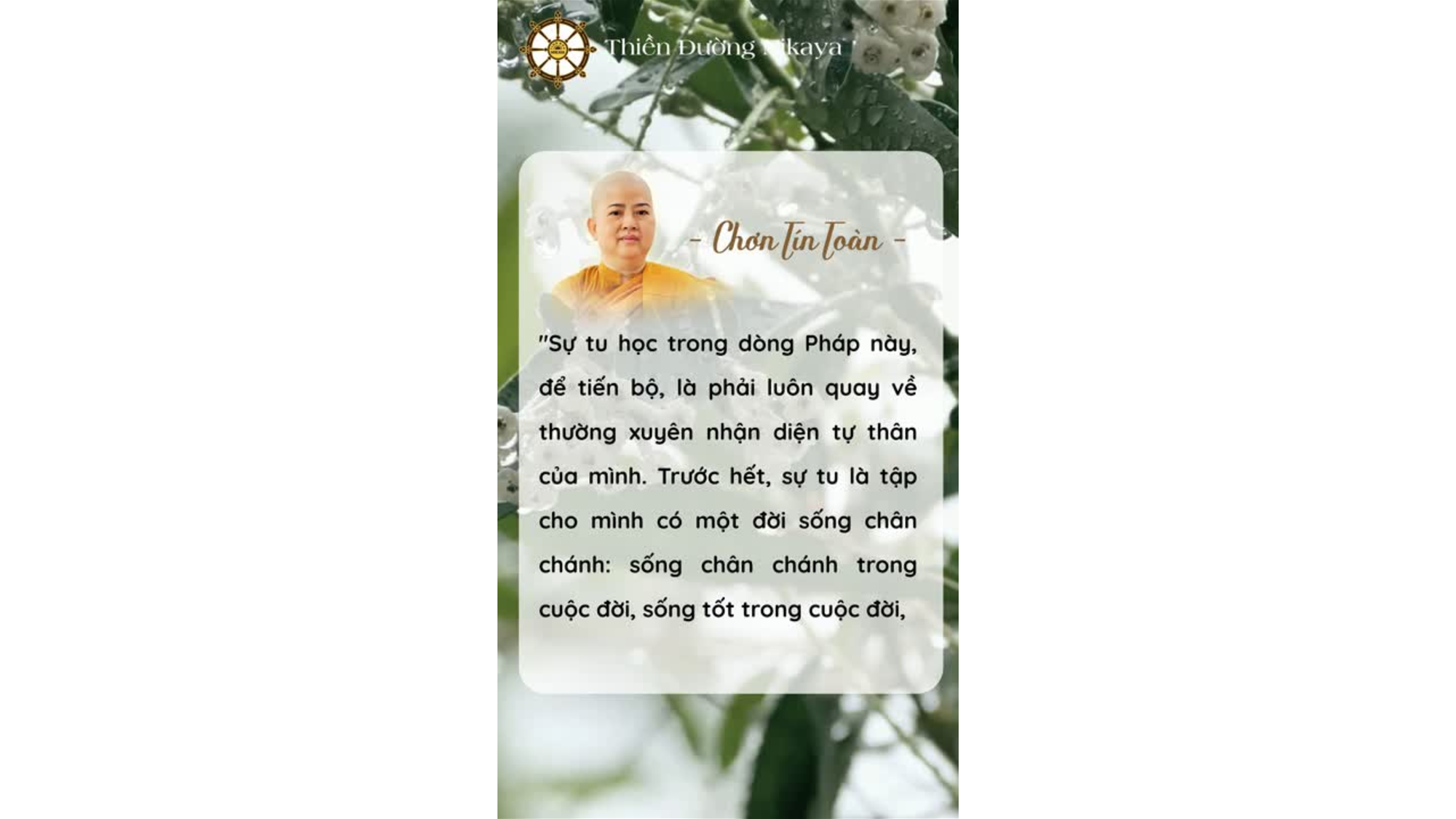 NGƯỜI TU NÊN SỐNG THẾ NÀO? _ CHƠN TÍN TOÀN