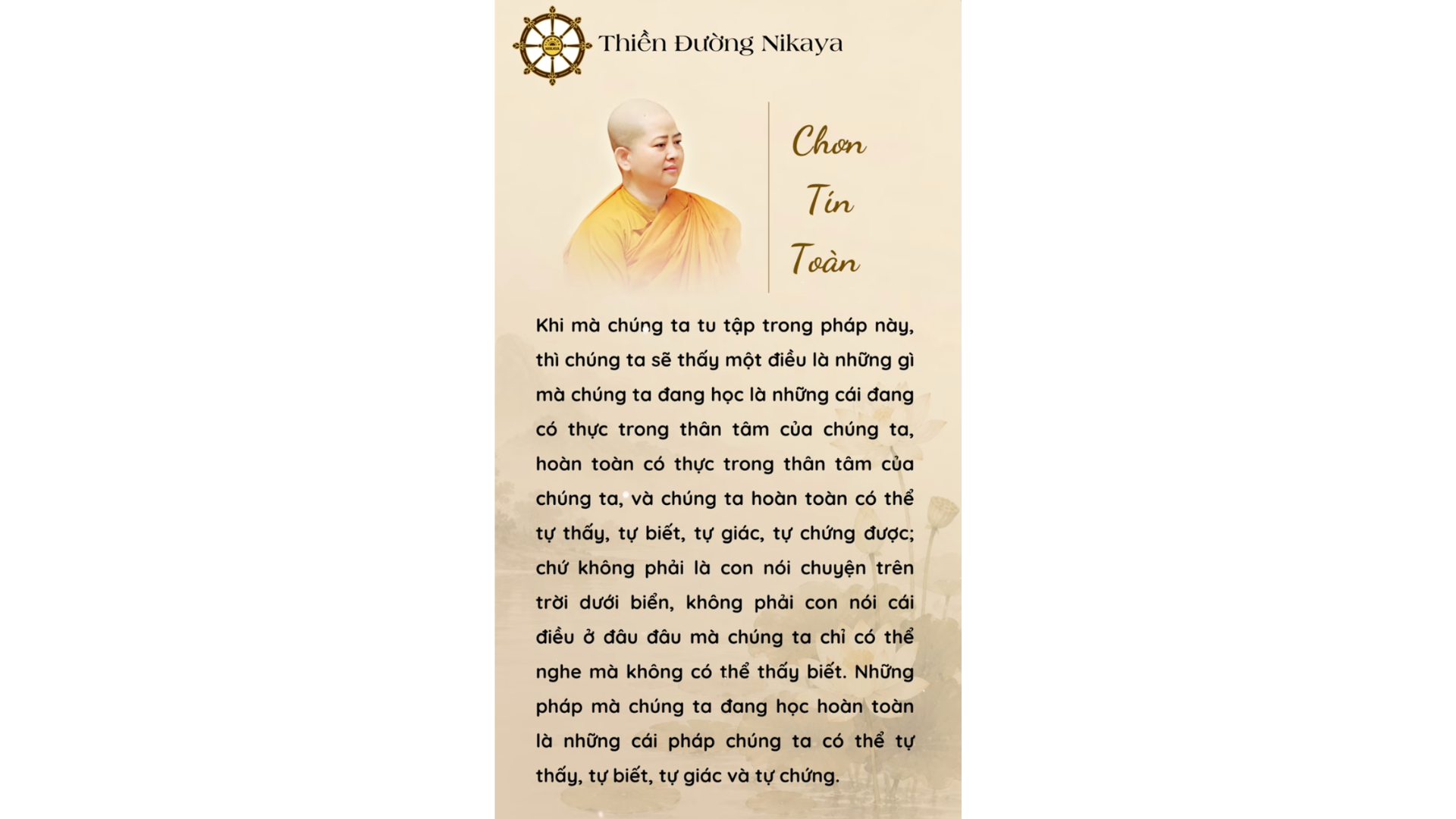 ĐỪNG BỎ LỠ CƠ HỘI ĐỂ HIỂU THÂN TÂM MÌNH! _ CHƠN TÍN TOÀN