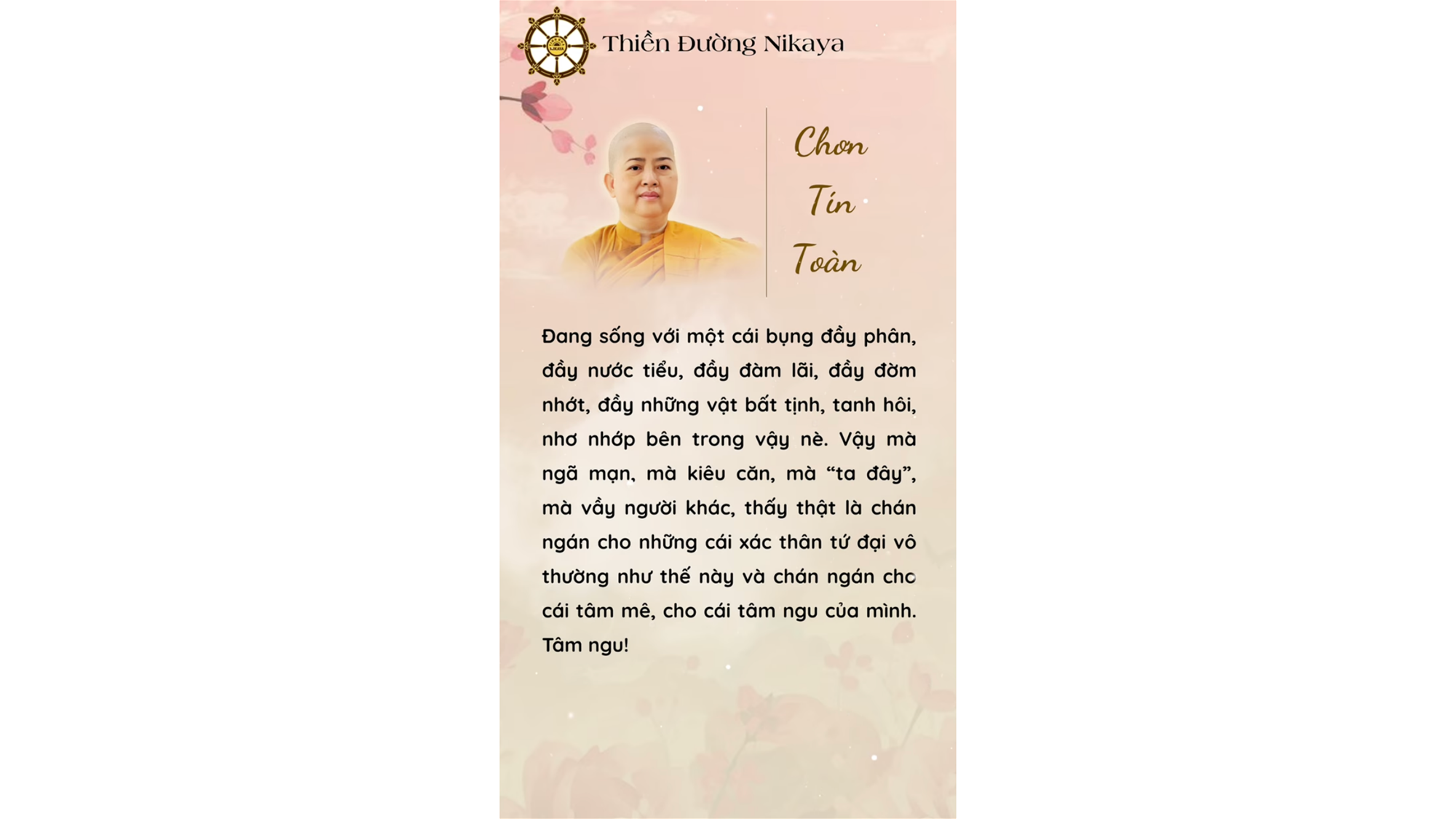 NHÌN LẠI CÁI THÂN NÀY ĐI! _ CHƠN TÍN TOÀN