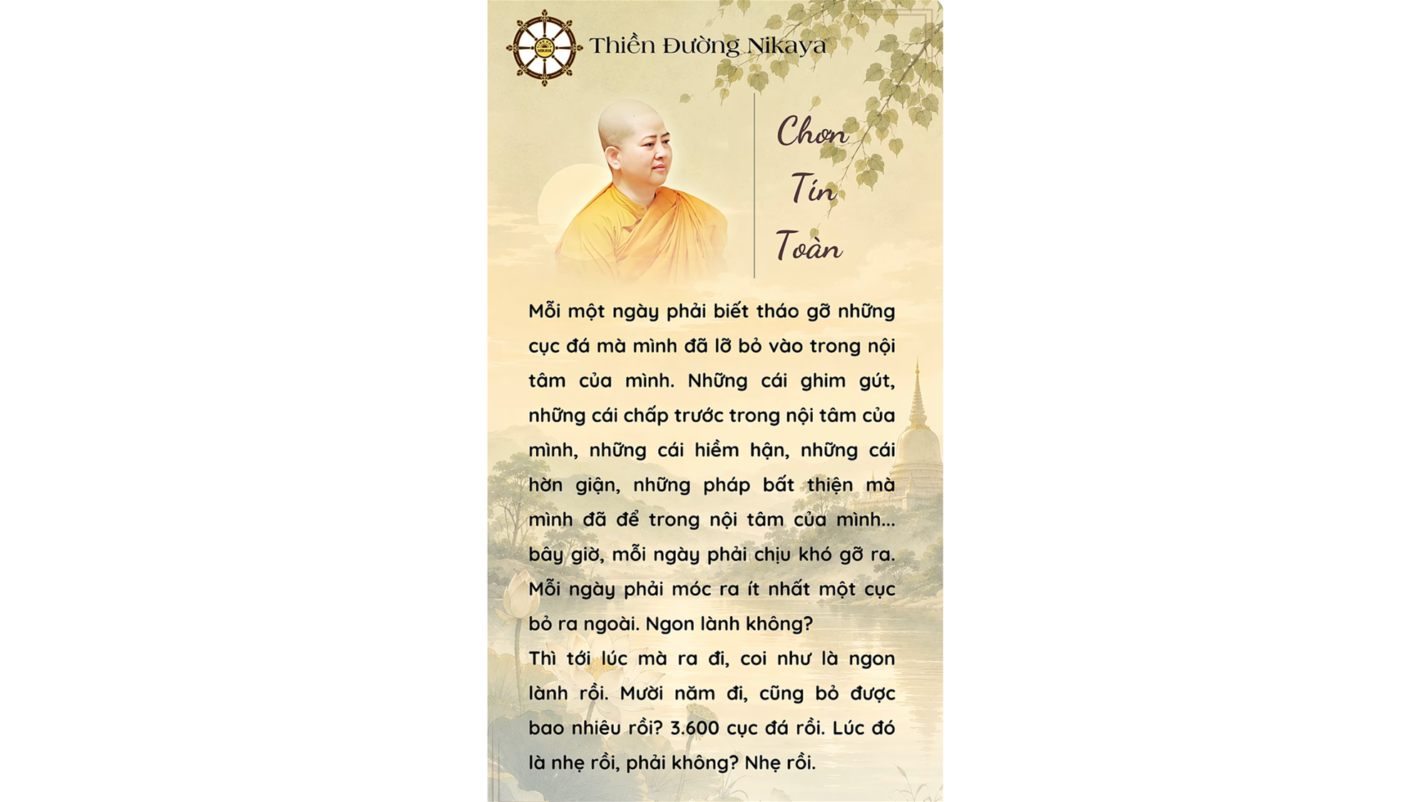 ĐI LÊN HAY ĐI XUỐNG LÀ DO CHÍNH MÌNH! _ CHƠN TÍN TOÀN