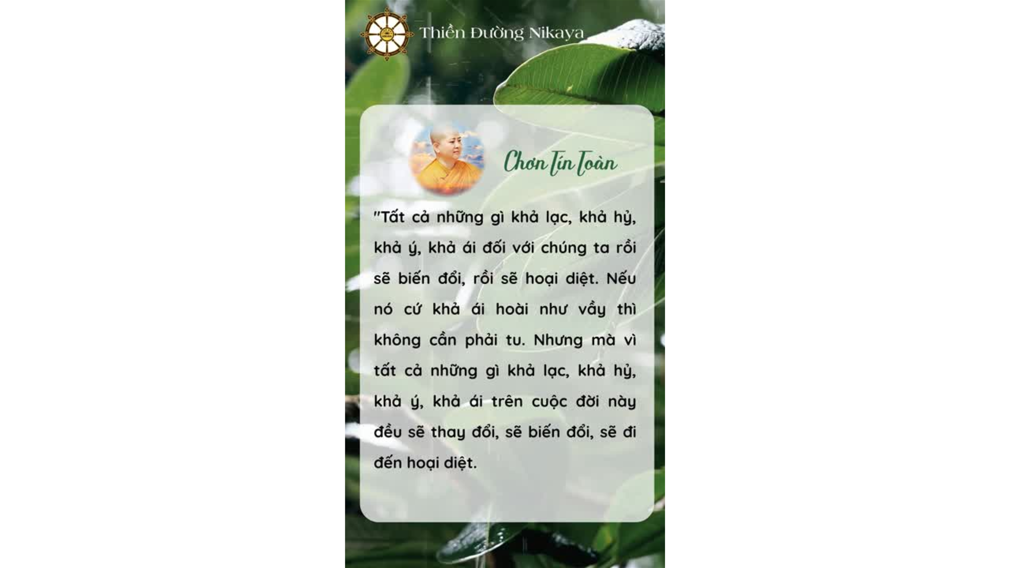 SỰ THẬT ẨN SAU CÁI KHẢ ÁI _ CHƠN TÍN TOÀN