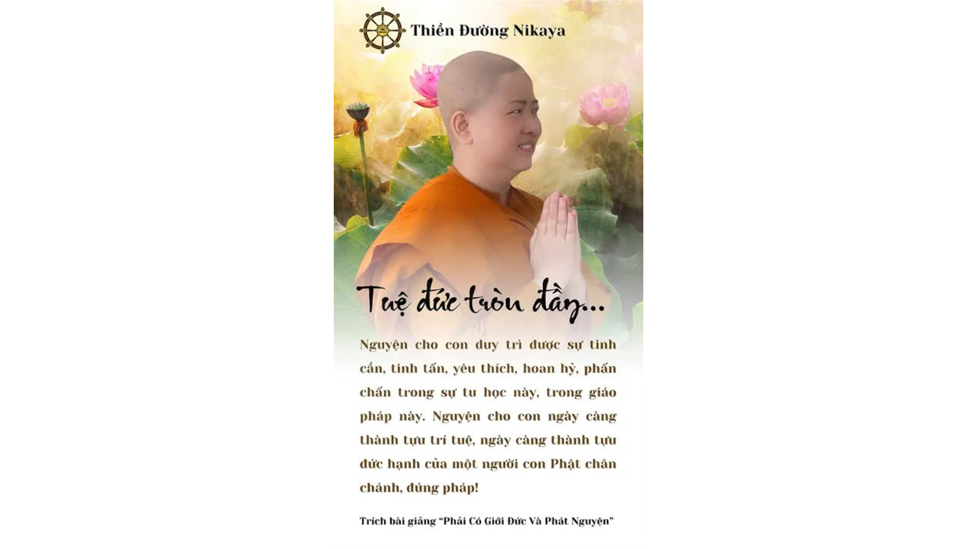 HÃY TINH TẤN TRAU DỒI TRÍ TUỆ VÀ ĐỨC HẠNH! _ CHƠN TÍN TOÀN