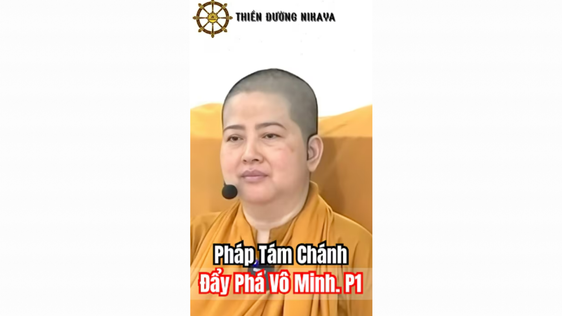PHÁP TÁM CHÁNH ĐẨY PHÁ VÔ MINH. P1 _ CHƠN TÍN TOÀN
