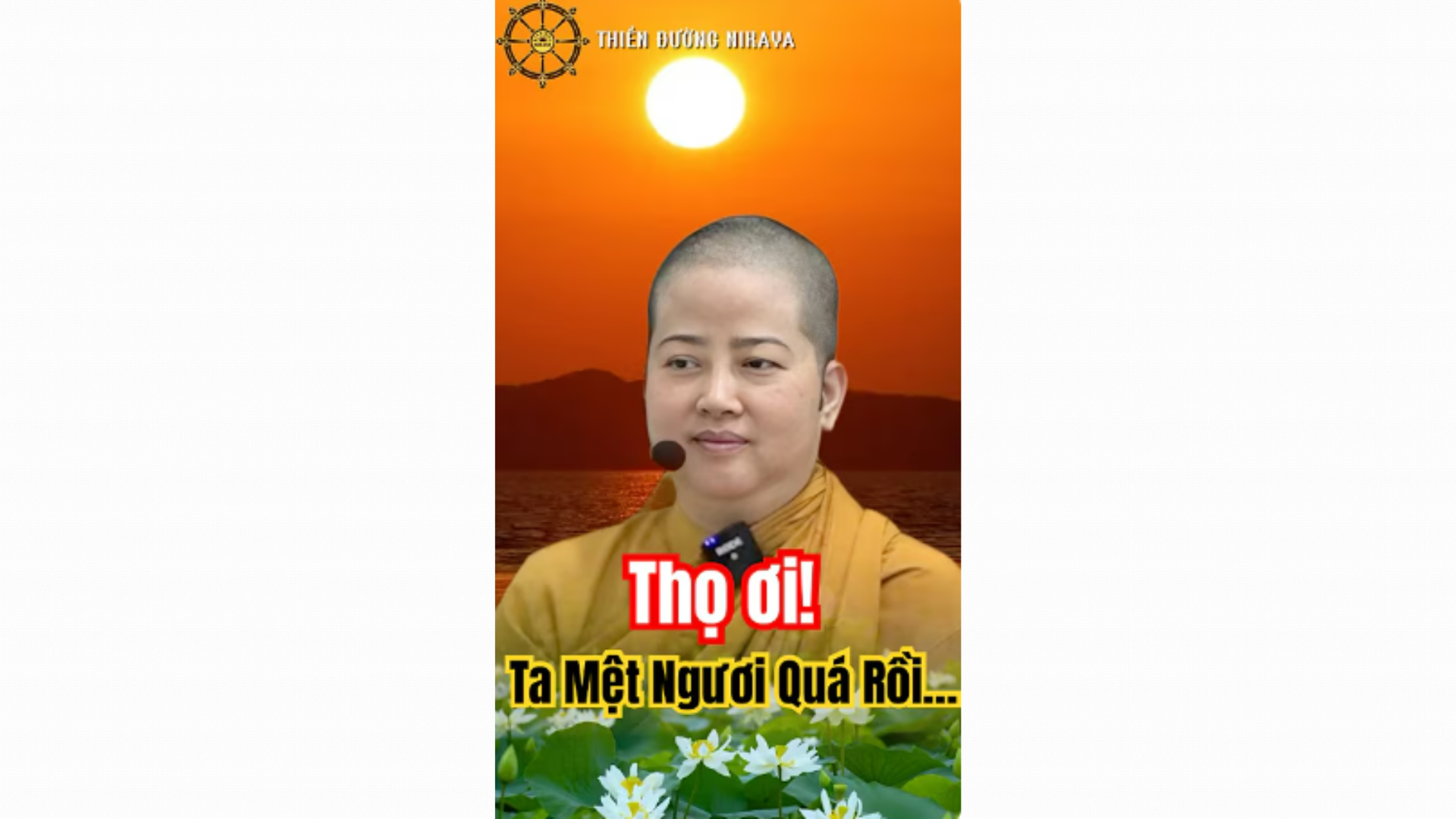 THỌ ƠI! TA MỆT NGƯƠI LẮM RỒI _ CHƠN TÍN TOÀN