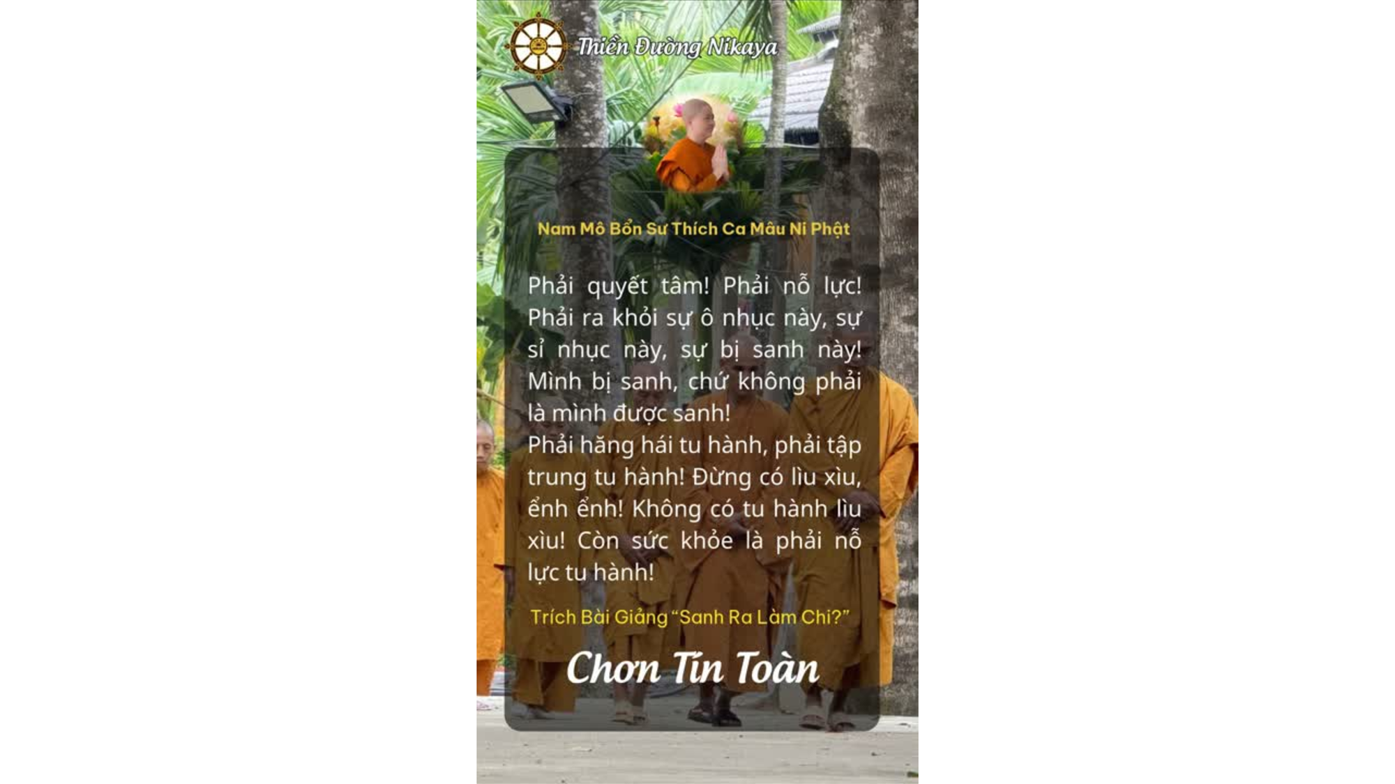 ĐỪNG SỐNG MÃI TRONG Ô NHỤC! _ CHƠN TÍN TOÀN
