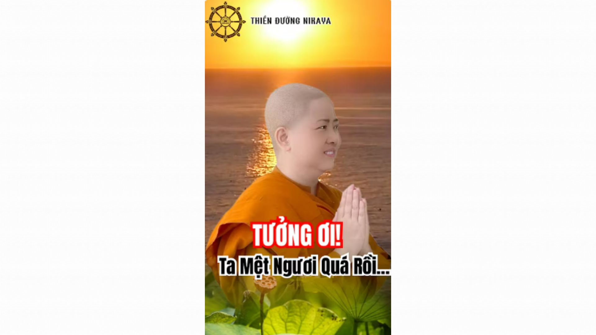 TƯỞNG ƠI! TA MỆT NGƯƠI LẮM RỒI _ CHƠN TÍN TOÀN