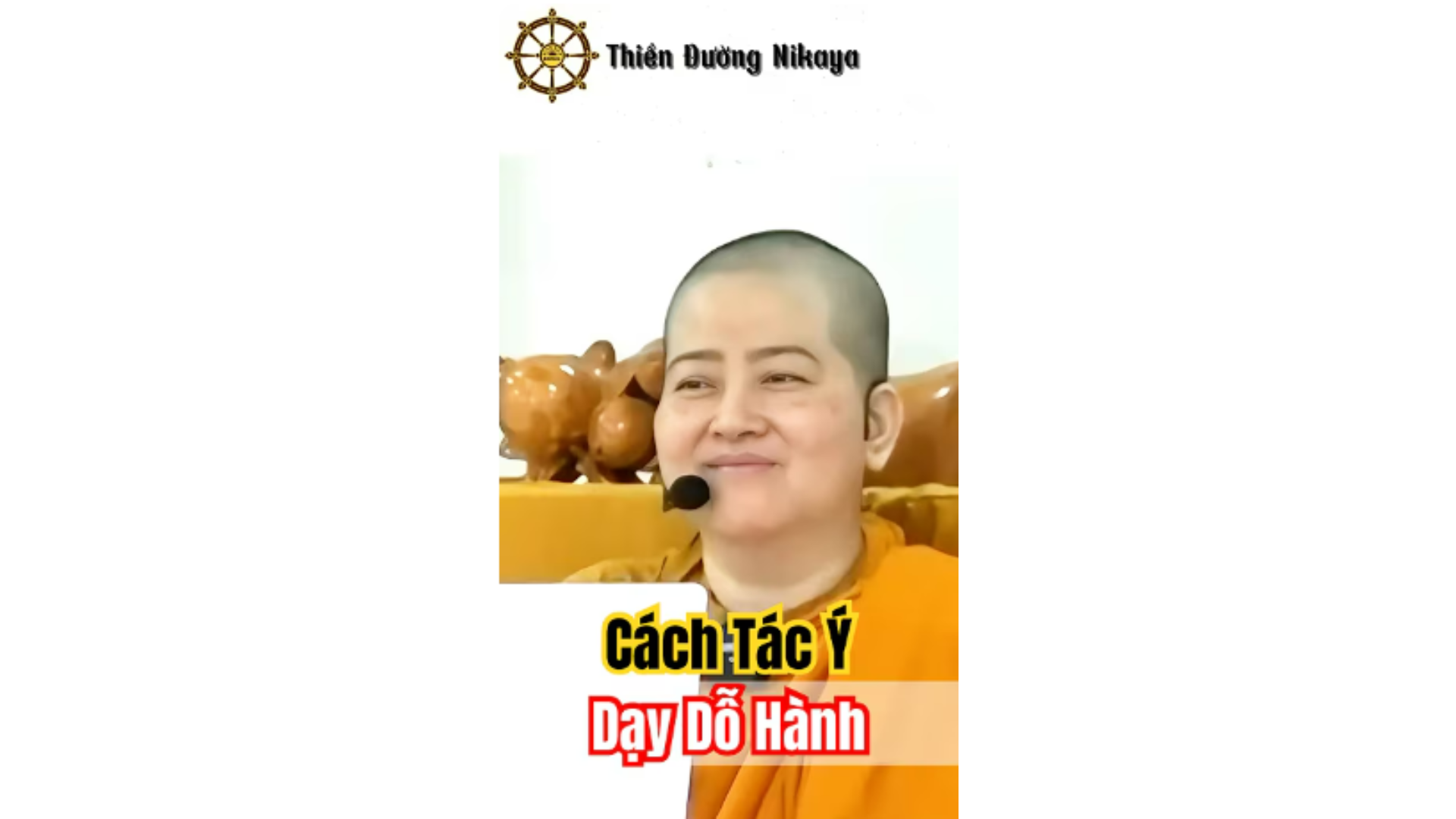 CÁCH TÁC Ý DẠY DỖ HÀNH _ CHƠN TÍN TOÀN
