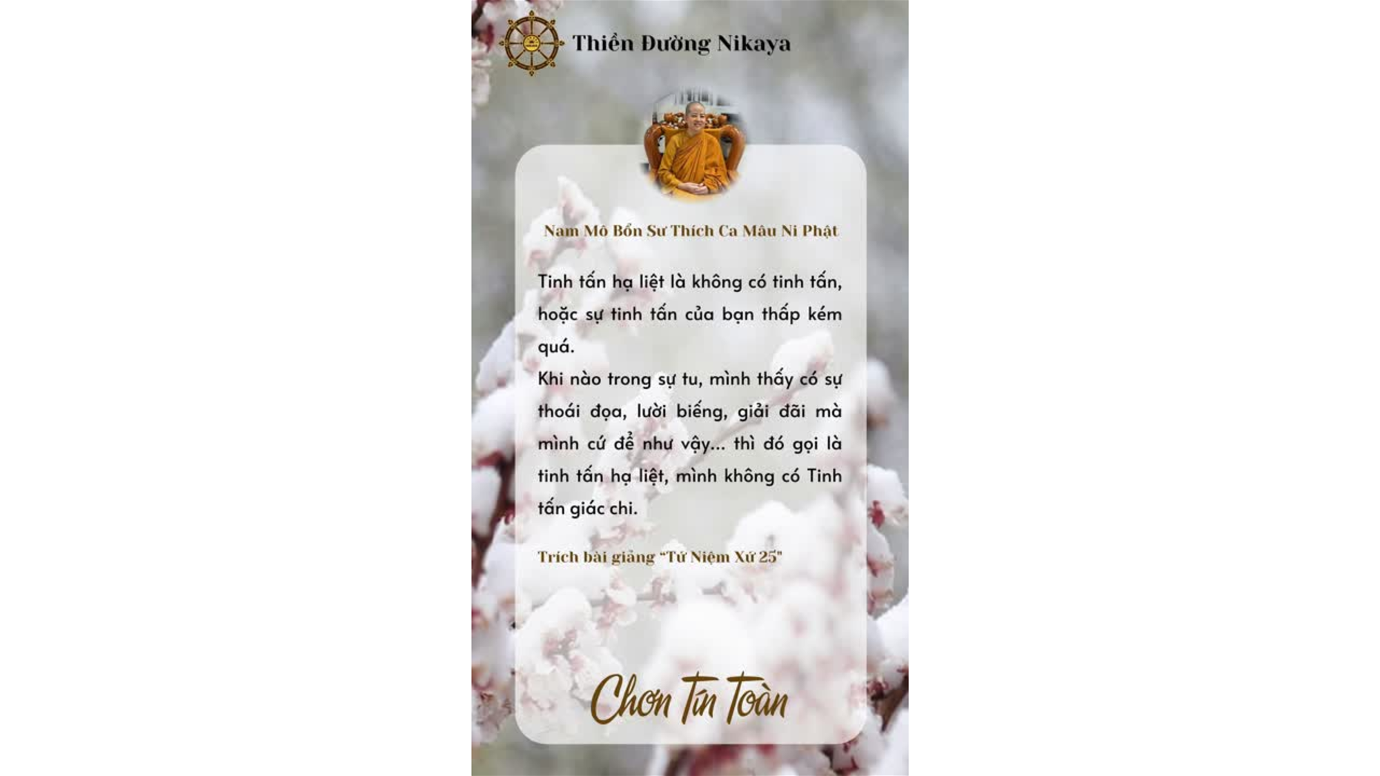 ĐỪNG ĐỂ TÂM THOÁI ĐỌA...HÃY TINH CẦN! _ CHƠN TÍN TOÀN