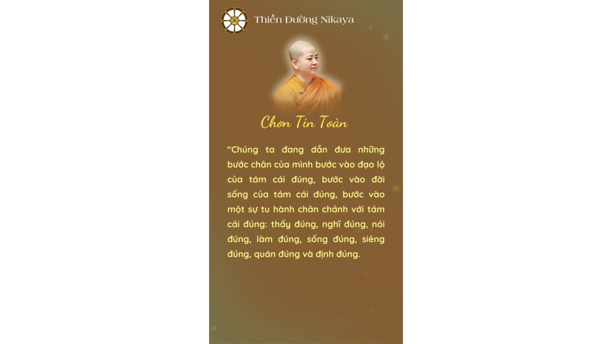 HÃY VỮNG BƯỚC! VÌ CHÚNG TA ĐANG ĐI TRÊN CON ĐƯỜNG CỦA BẬC THÁNH NHÂN _ CHƠN TÍN TOÀN