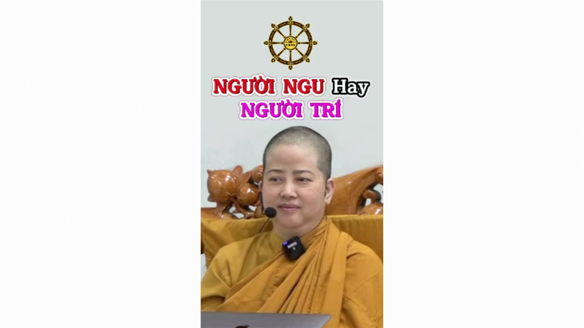 NGƯỜI NGU HAY NGƯỜI TRÍ _ CHƠN TÍN TOÀN