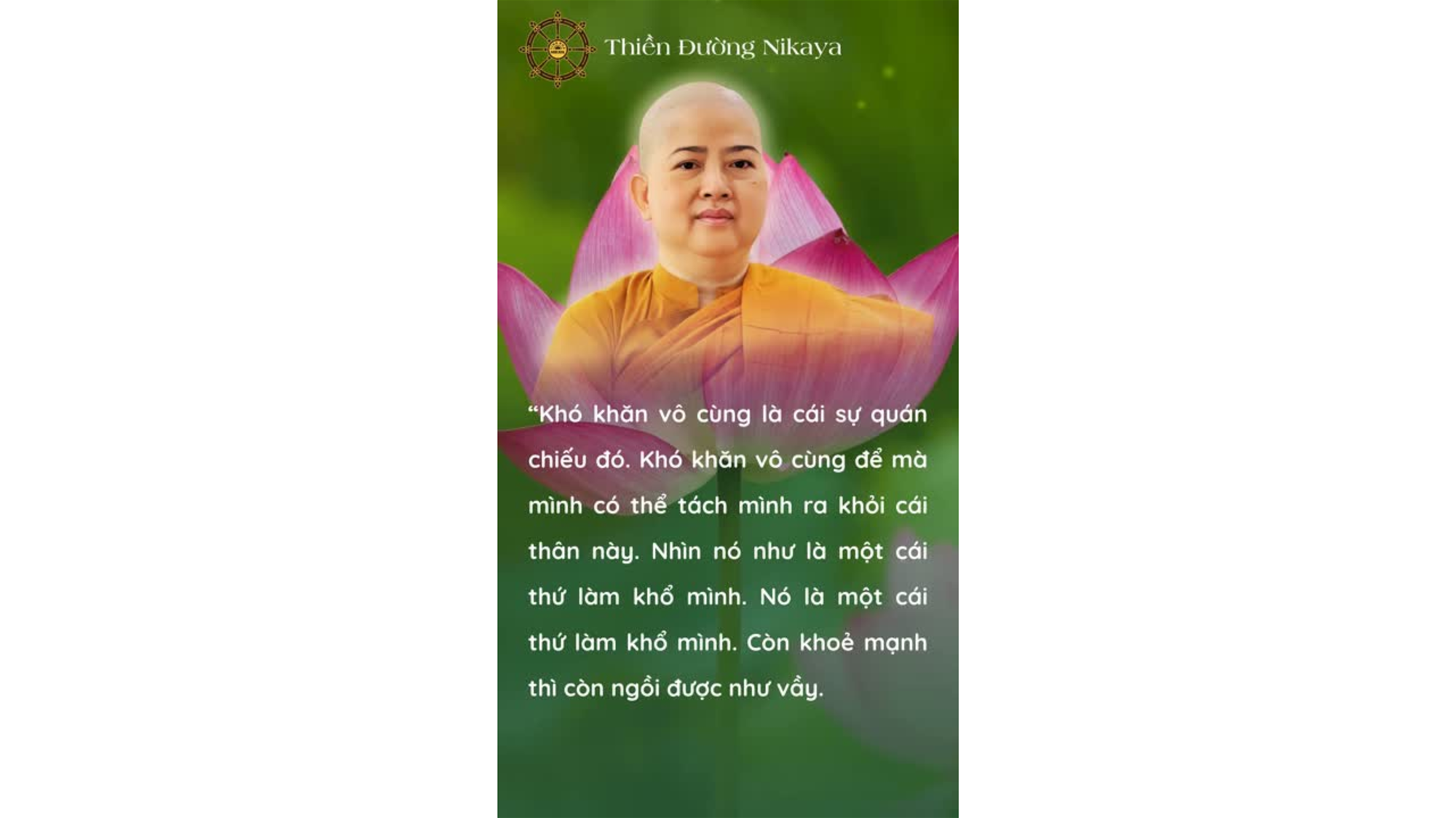 TỈNH LẠI ĐI, TÂM NGU ƠI! _ CHƠN TÍN TOÀN