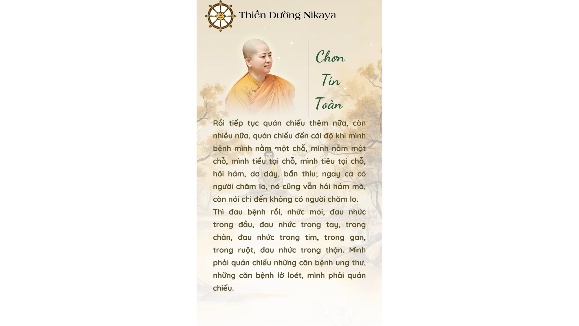 THÂN NÀY LÀ BIỂN KHỔ _ CHƠN TÍN TOÀN