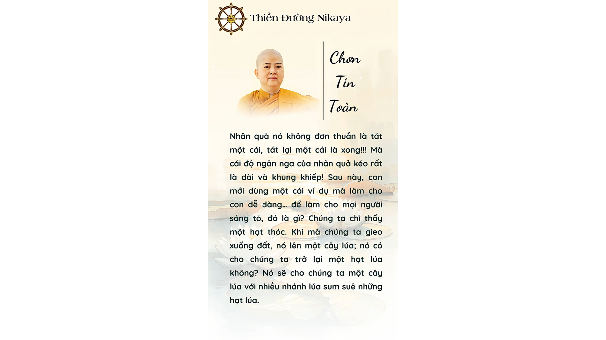 ”NHÂN QUẢ” KHÔNG ĐƠN THUẦN NHƯ CHÚNG TA NGHĨ _ CHƠN TÍN TOÀN