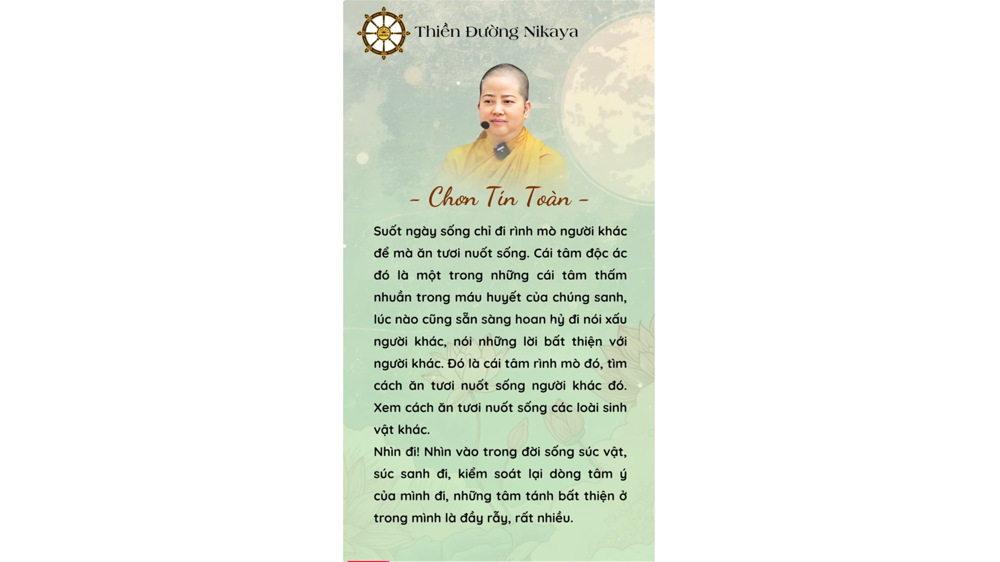 ĐỪNG BỎ PHÍ CƠ HỘI TỶ VÀNG NÀY! _ CHƠN TÍN TOÀN