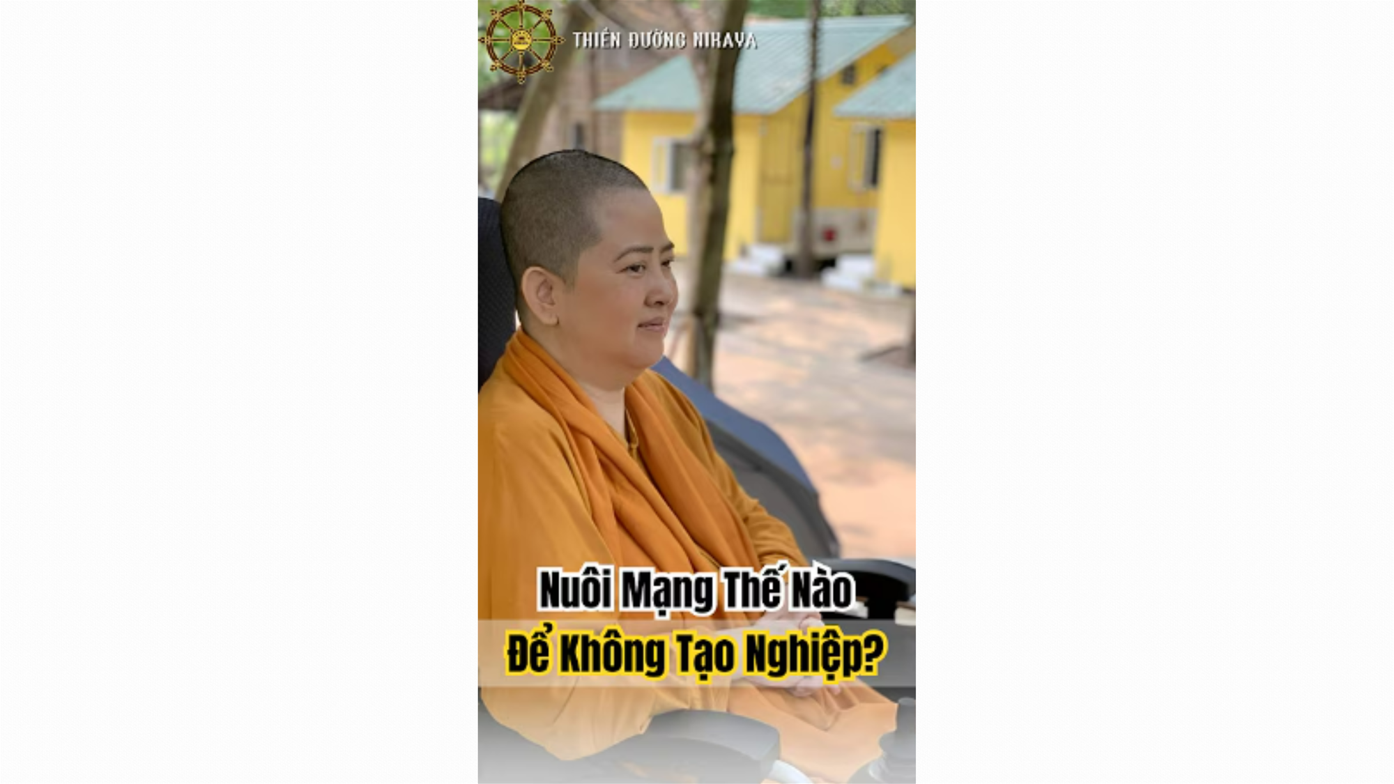 NUÔI MẠNG THẾ NÀO ĐỂ KHÔNG TẠO NGHIỆP? _ CHƠN TÍN TOÀN