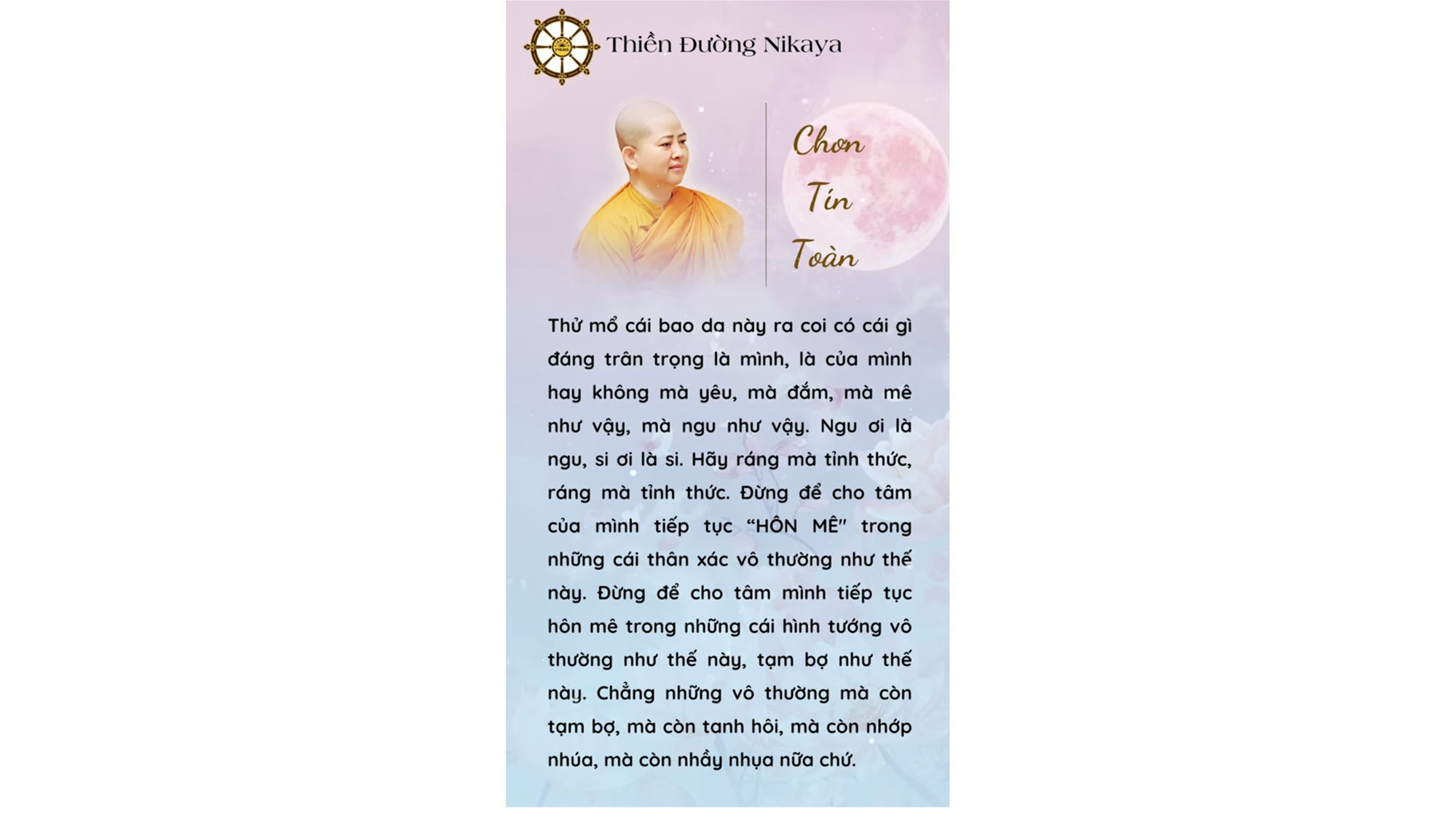 MỘT BAO DA BẤT TỊNH, ĐÁNG GÌ MÀ MÊ? _ CHƠN TÍN TOÀN