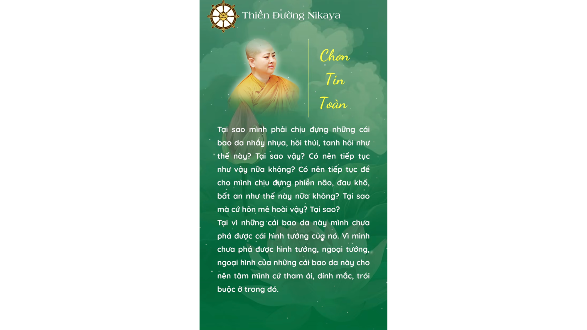 HỠI TÂM MÊ, TỈNH RA MAU! _ CHƠN TÍN TOÀN