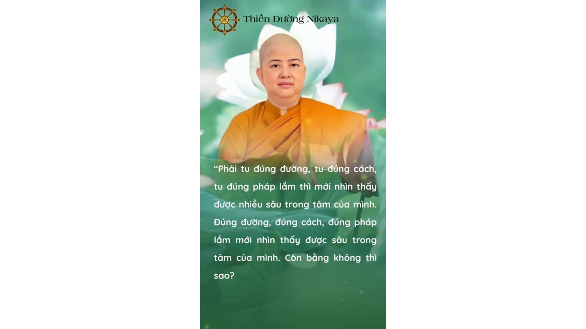 CHỈ KHI TU ĐÚNG MỚI THẤY ĐƯỢC MÌNH! _ CHƠN TÍN TOÀN