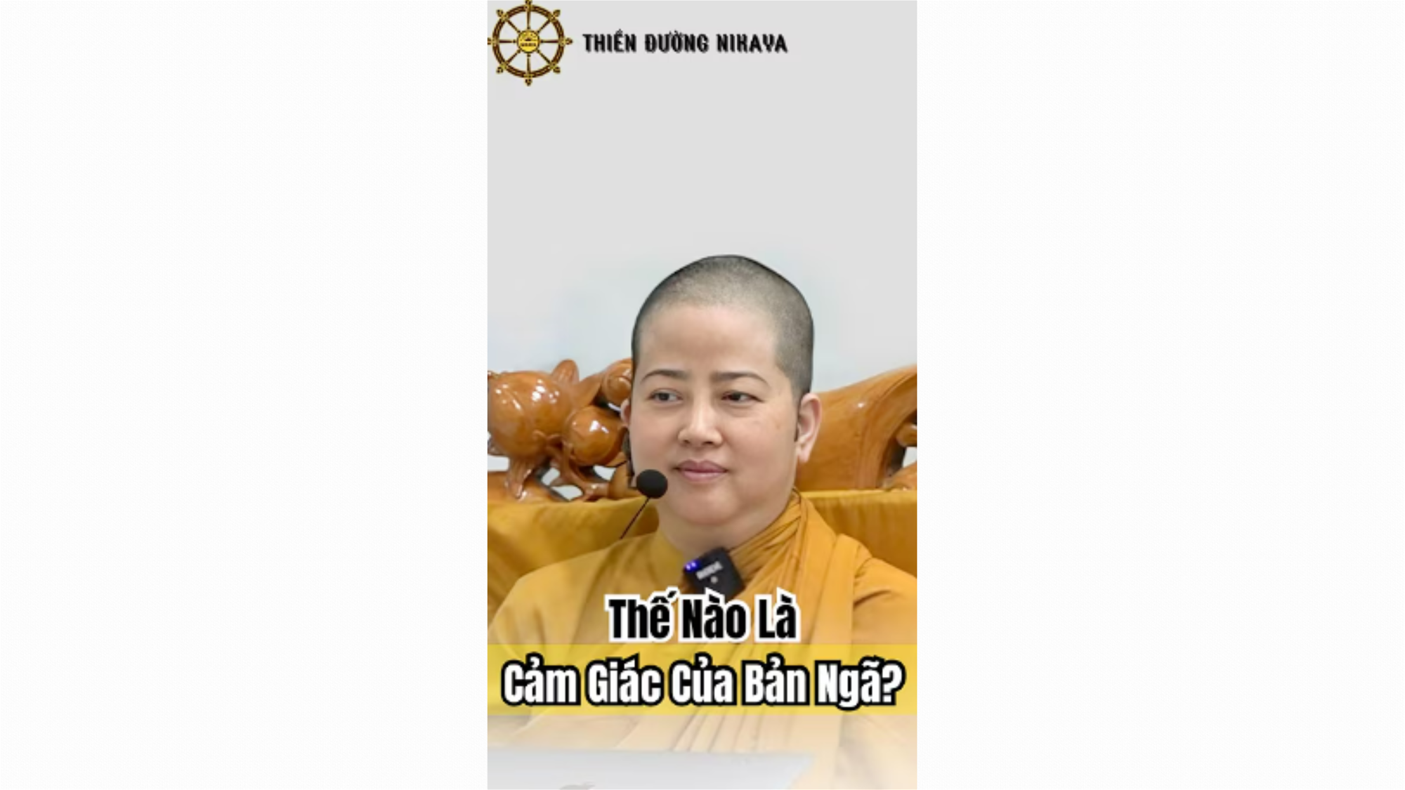 THẾ NÀO LÀ CẢM GIÁC CỦA BẢN NGÃ _ CHƠN TÍN TOÀN
