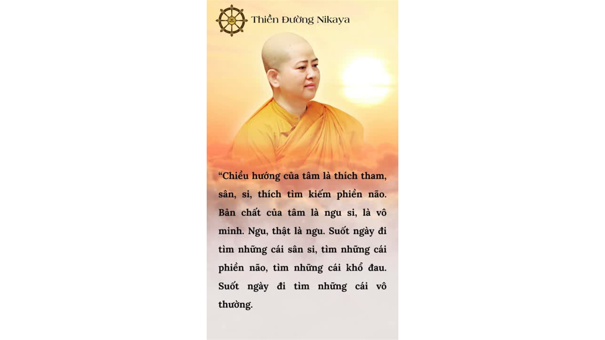 TÂM NÀY MÊ MÃI TRONG THAM SÂN SI _ CHƠN TÍN TOÀN