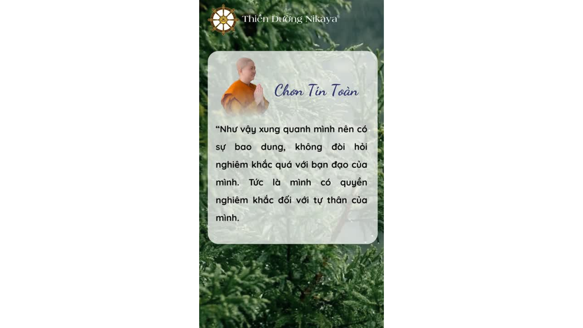 SỐNG BAO DUNG GIỮA ĐỜI VÔ MINH _ CHƠN TÍN TOÀN