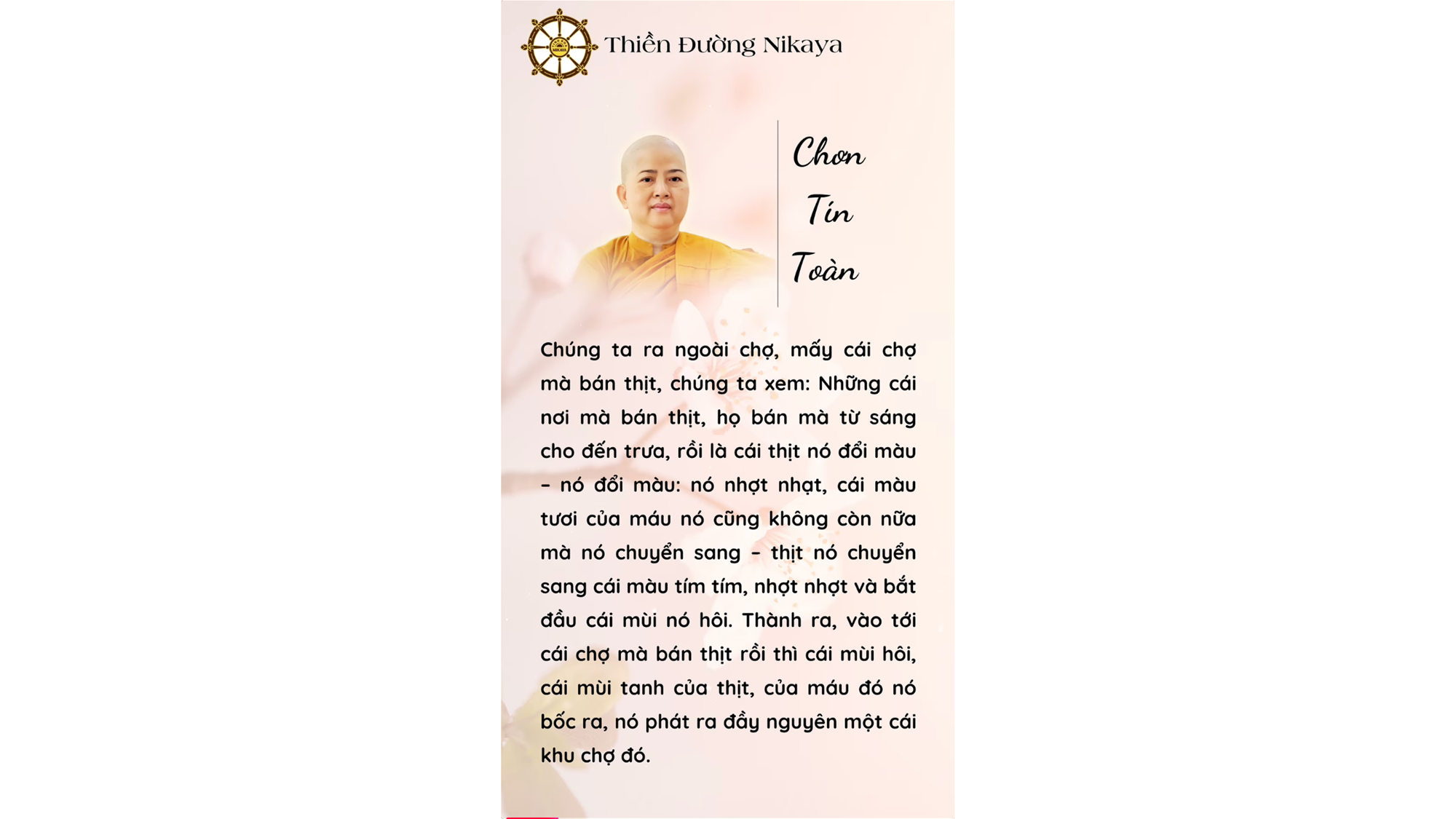 TA MÊ ĐẮM ĐIỀU GÌ SAU LỚP DA MỎNG ĐÓ? _ CHƠN TÍN TOÀN