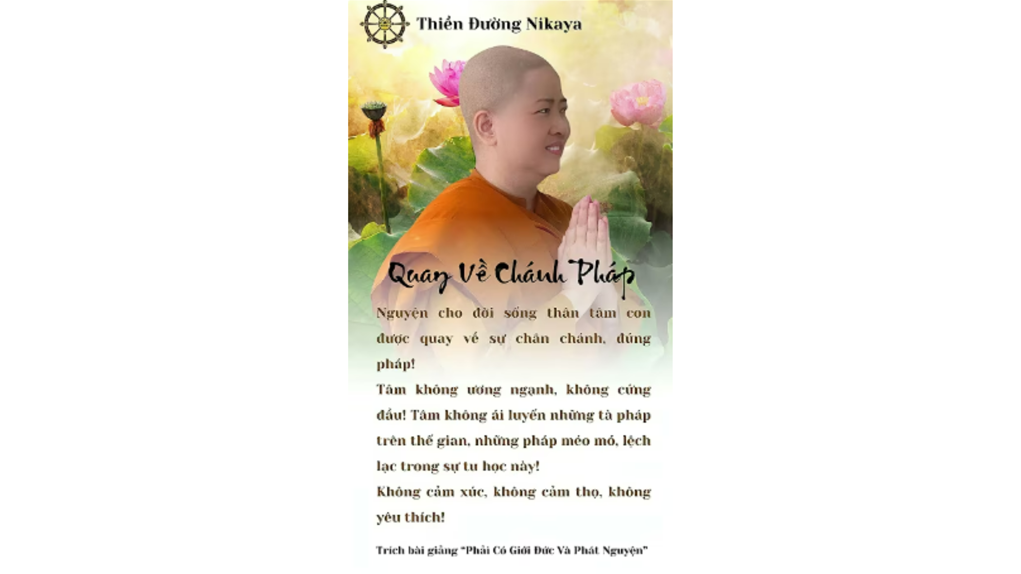 QUAY VỀ CHÁNH PHÁP _ CHƠN TÍN TOÀN