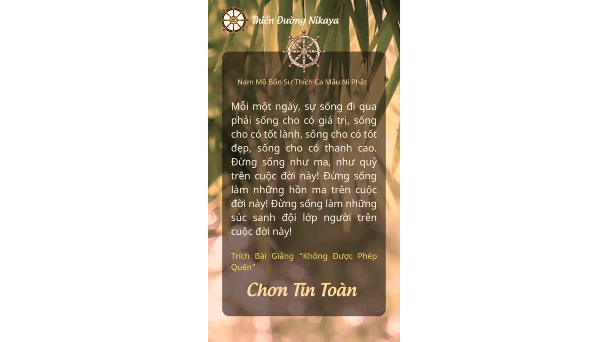 PHẢI SỐNG THẬT THANH CAO TRÊN CUỘC ĐỜI NÀY! _ CHƠN TÍN TOÀN