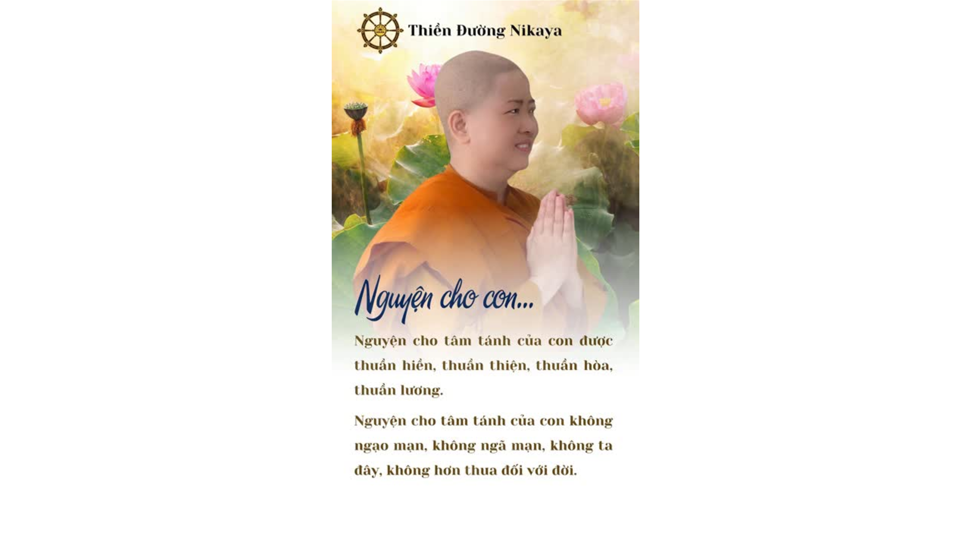 TÂM THUẦN HIỀN - HẠNH KHIÊM CUNG _ CHƠN TÍN TOÀN