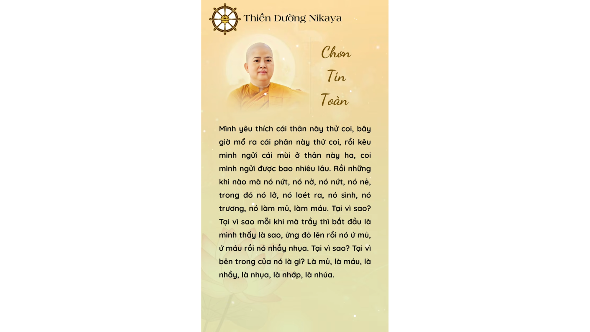 CHÚNG TA ĐANG MÊ ĐẮM MỘT LỚP DA BẤT TỊNH! _ CHƠN TÍN TOÀN