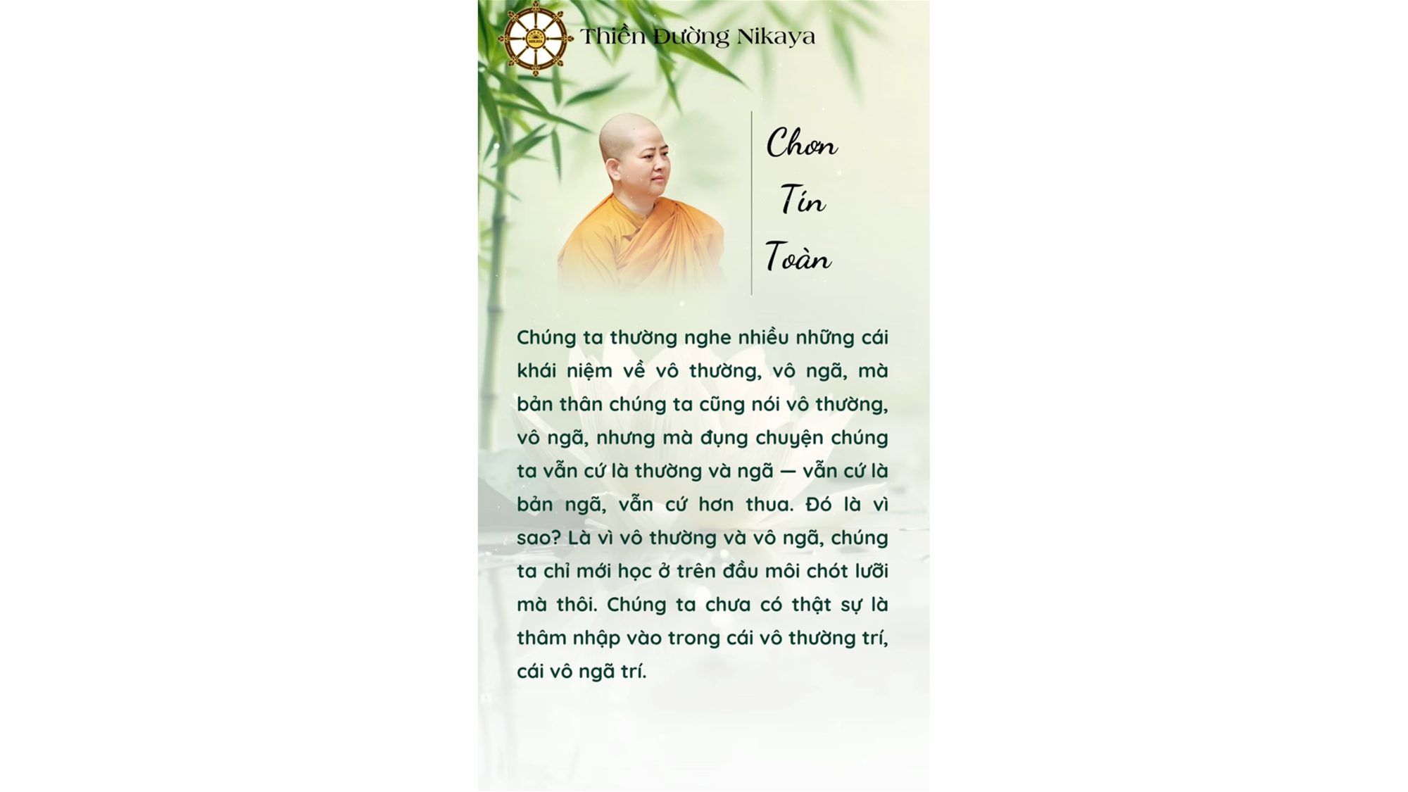 NÓI VÔ NGÃ, NHƯNG LÒNG CÓ BUÔNG ĐƯỢC CHƯA? _ CHƠN TÍN TOÀN