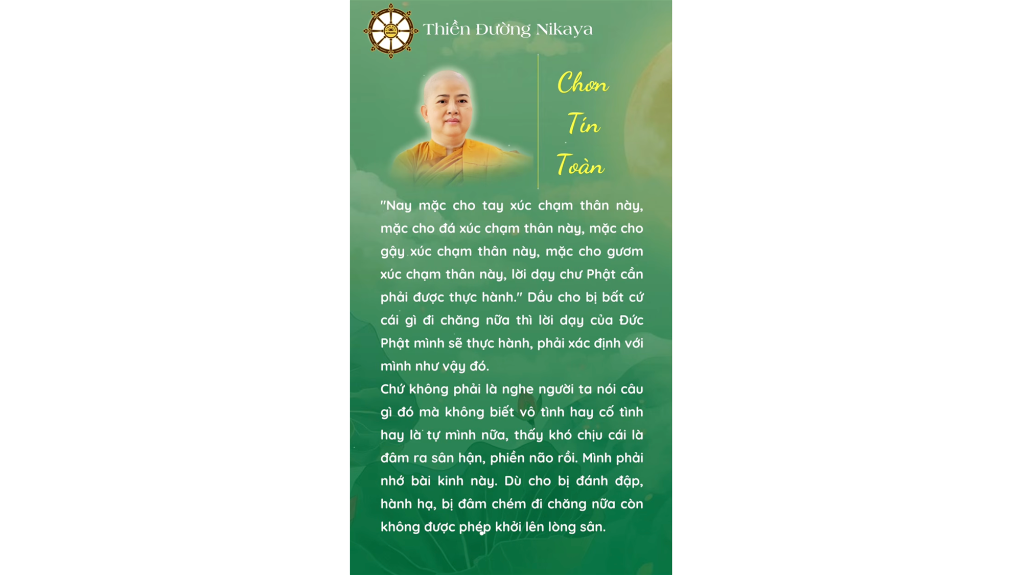 KHÔNG CÓ BẤT CỨ LÝ DO NÀO ĐỂ SÂN HẬN _ CHƠN TÍN TOÀN