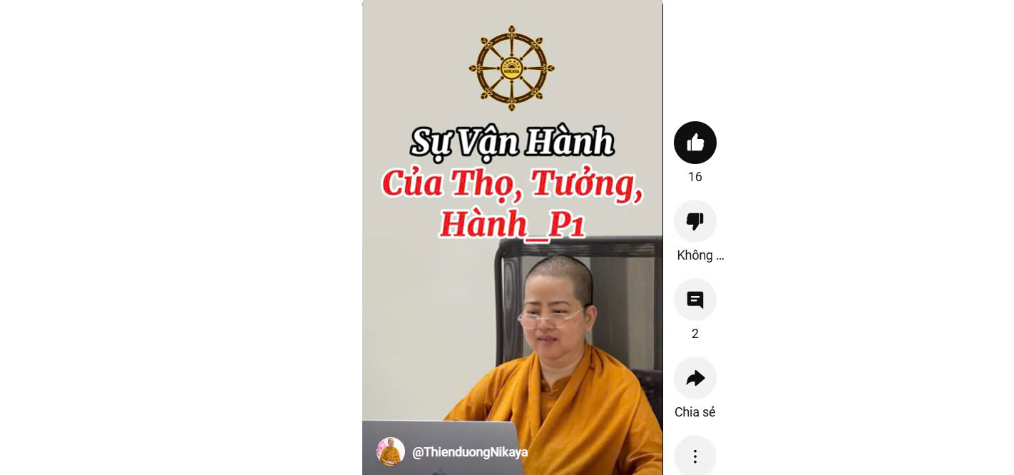 SỰ VẬN HÀNH CỦA THỌ, TƯỞNG, HÀNH, THỨC P.1 _ CHƠN TÍN TOÀN