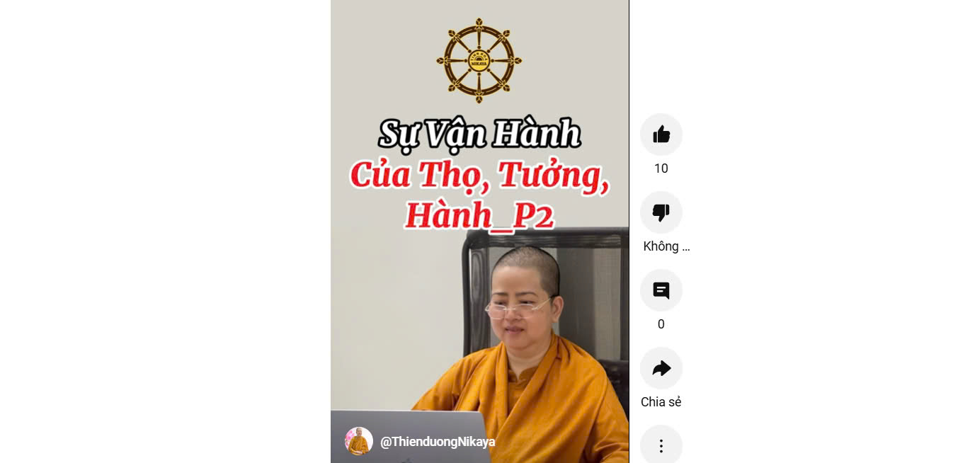 SỰ VẬN HÀNH CỦA THỌ, TƯỞNG, HÀNH, THỨC P.2 _ CHƠN TÍN TOÀN