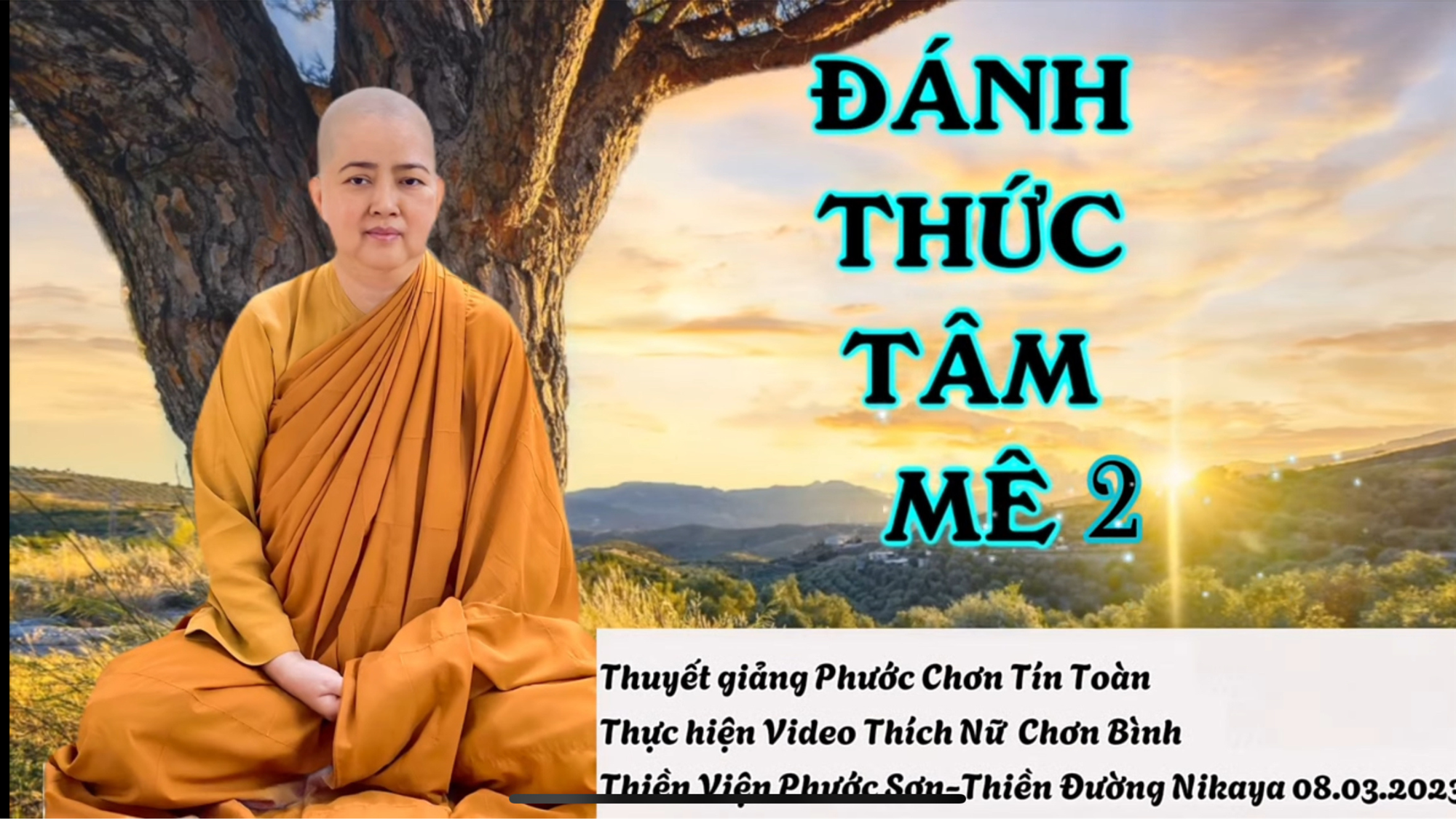 ĐÁNH THỨC TÂM MÊ _ CHƠN TÍN TOÀN